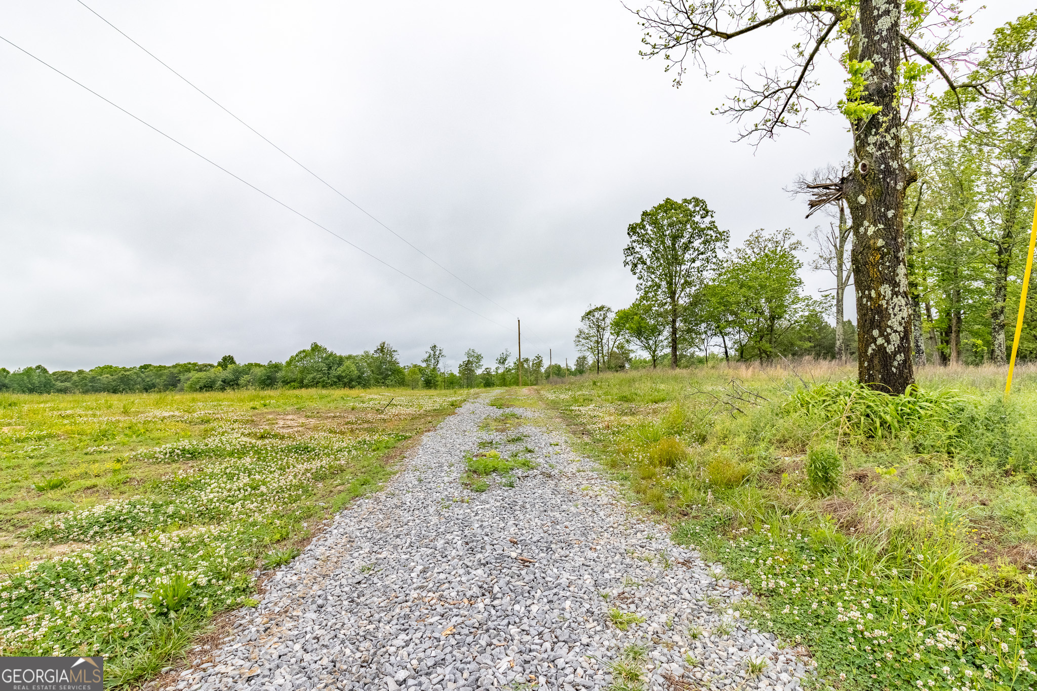 0 Ga 301 Highway Lot 2 Property Photo 4