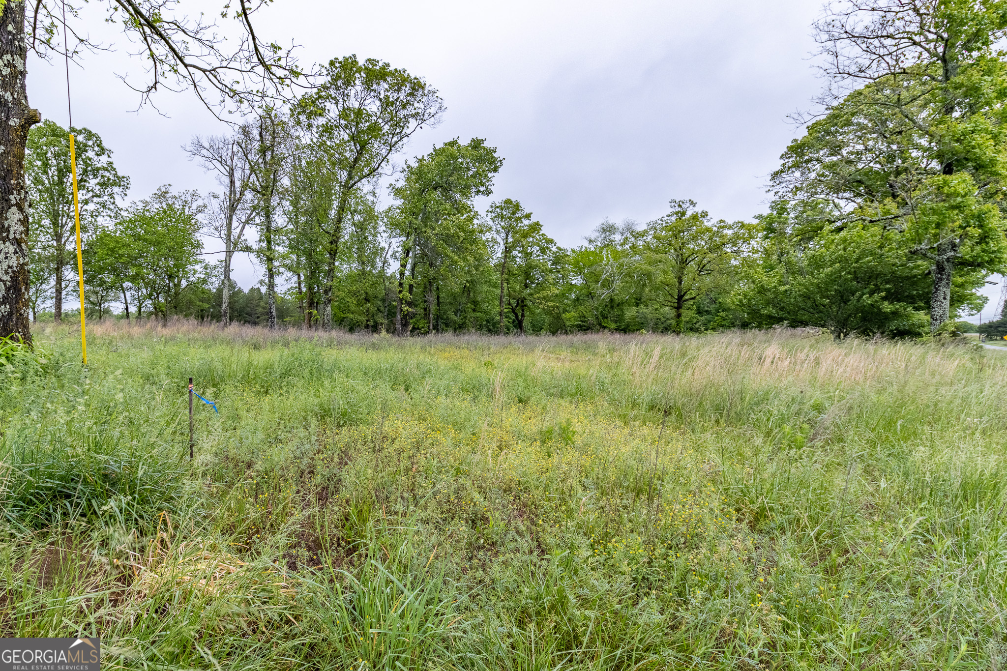 0 Ga 301 Highway Lot 2 Property Photo 5