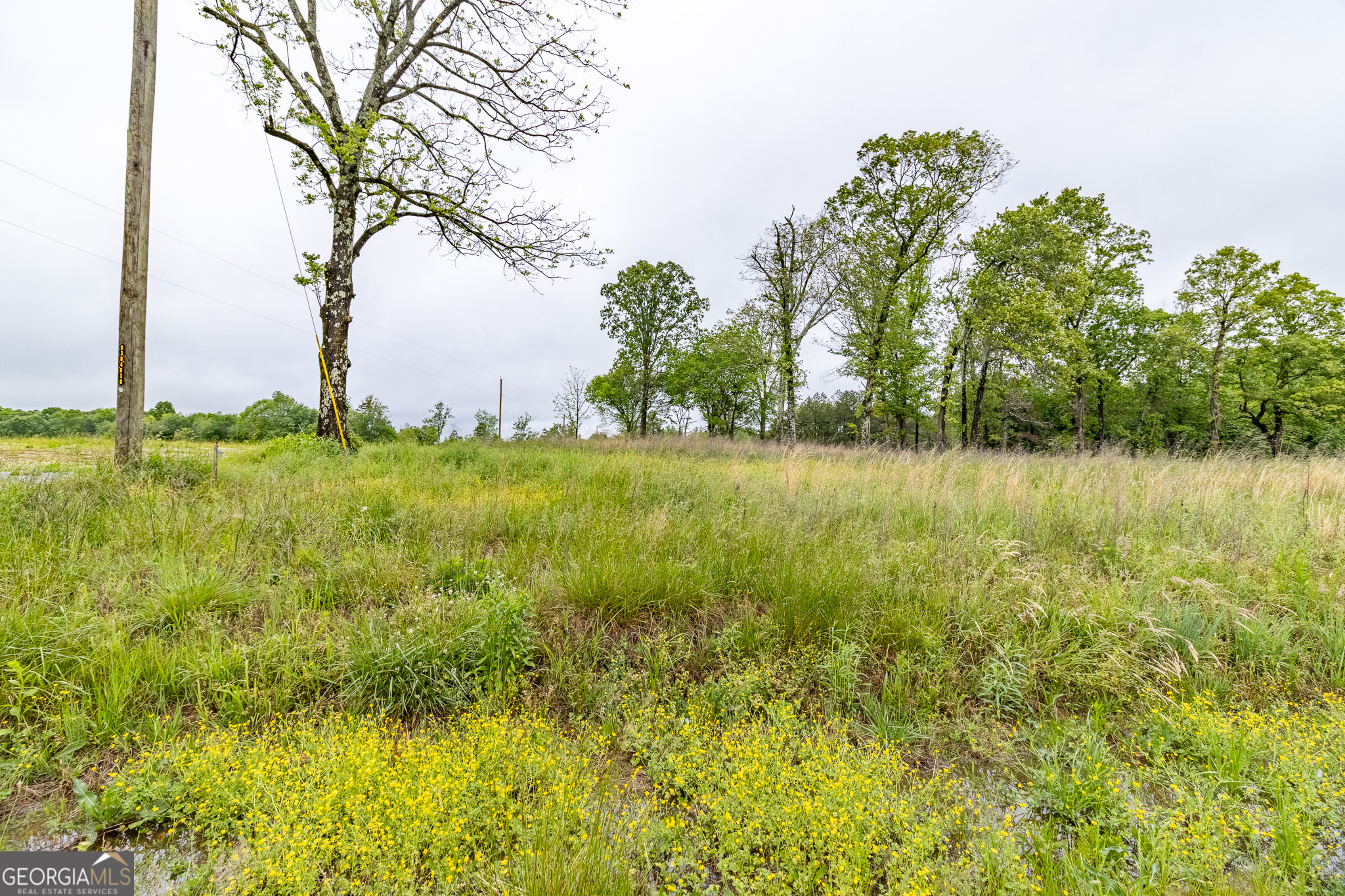 0 Ga 301 Highway Lot 2 Property Photo 6
