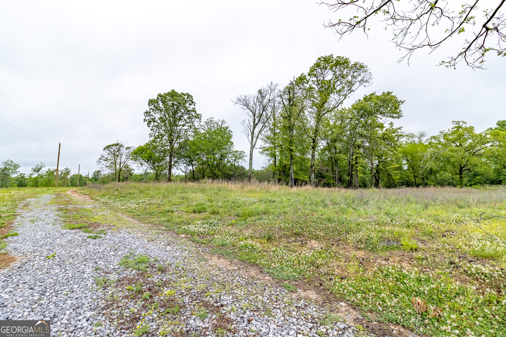 0 Ga 301 Highway Lot 2 Property Photo 7