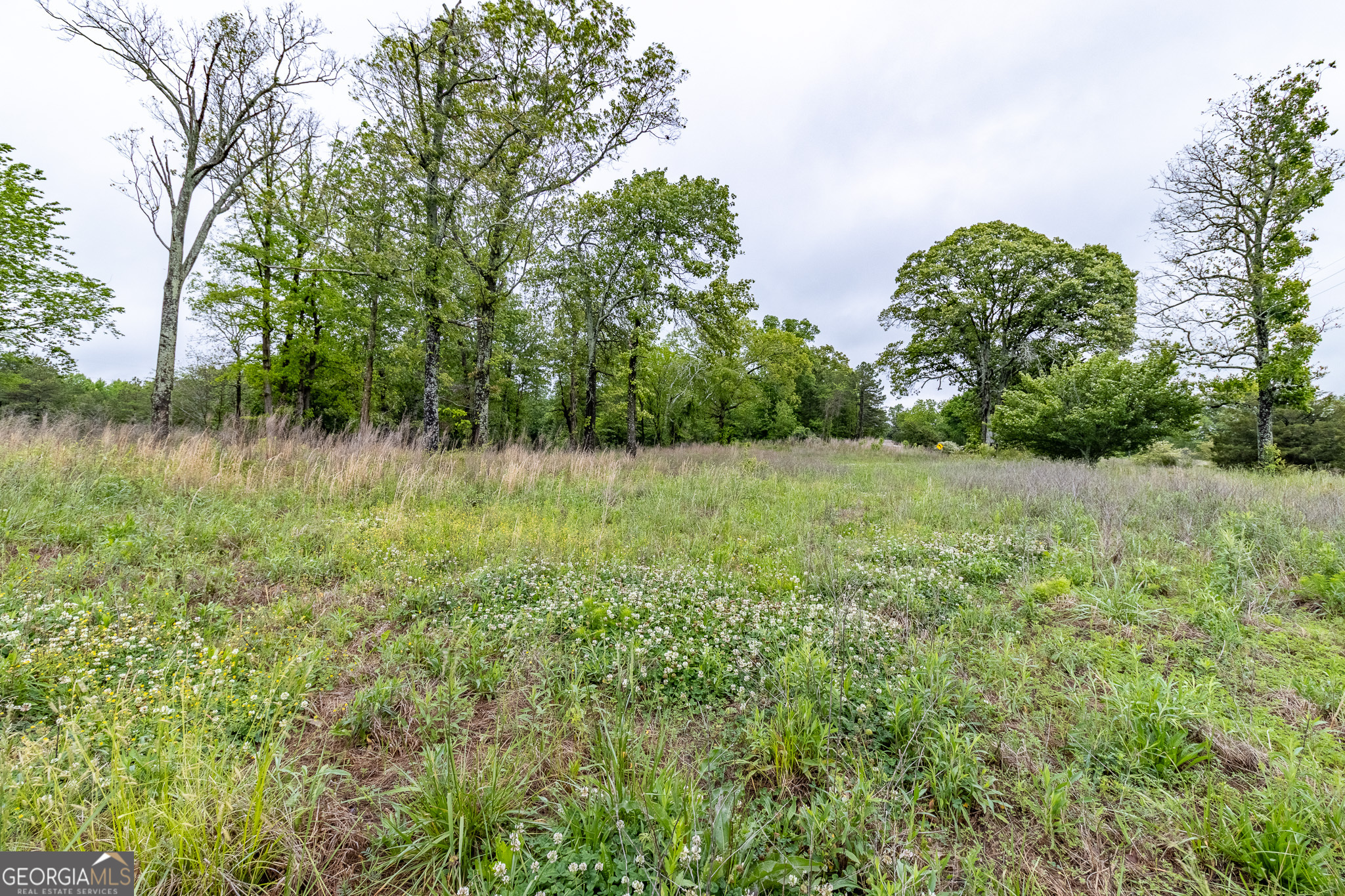 0 Ga 301 Highway Lot 2 Property Photo 8
