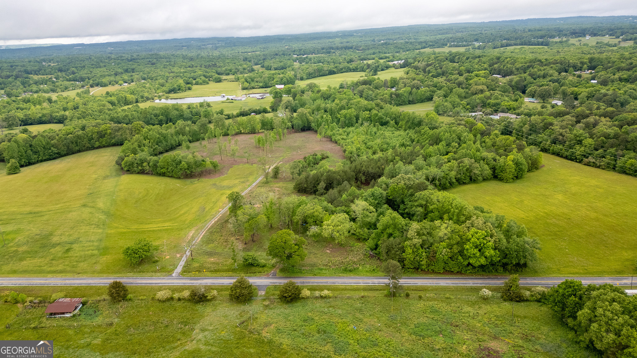0 Ga 301 Highway Lot 2 Property Photo 9