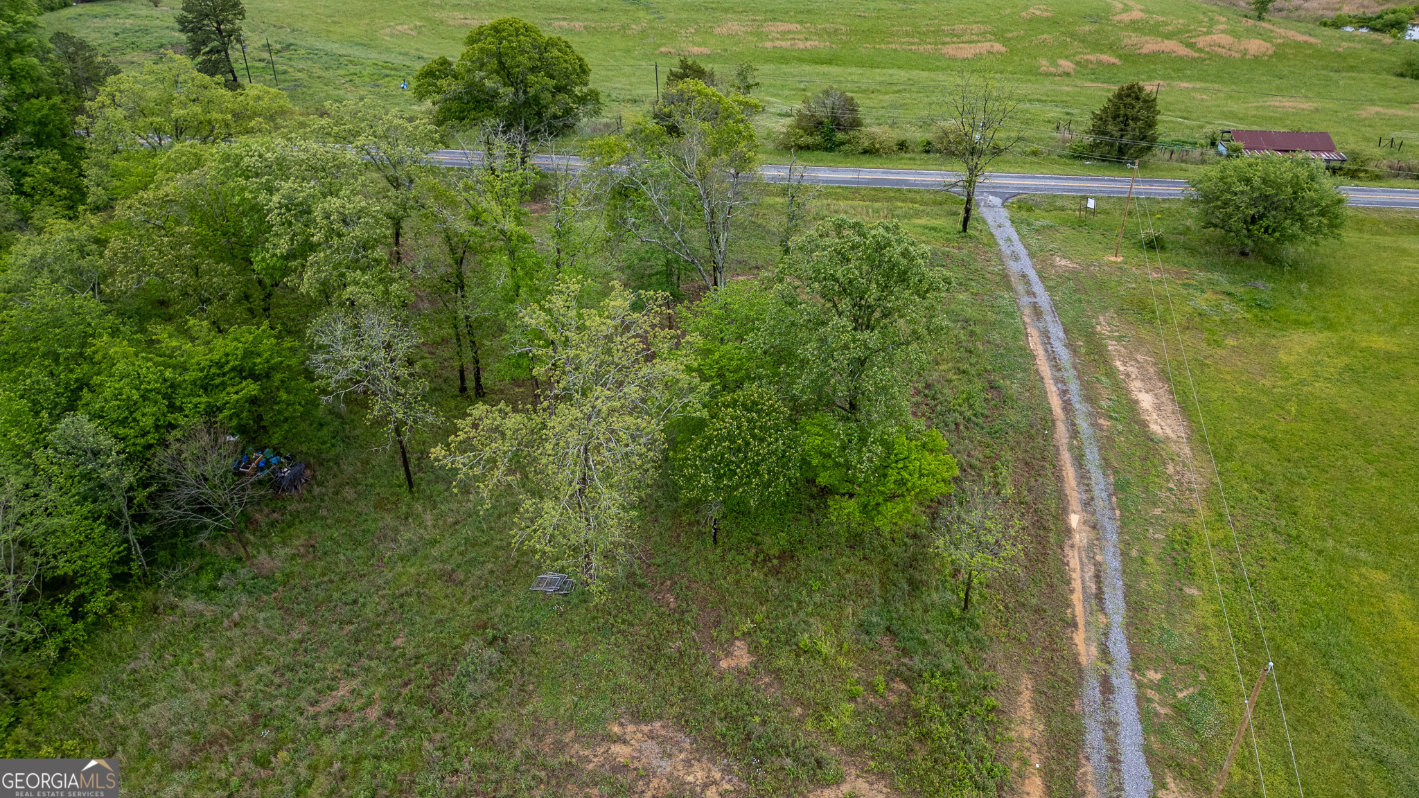 0 Ga 301 Highway Lot 2 Property Photo 10