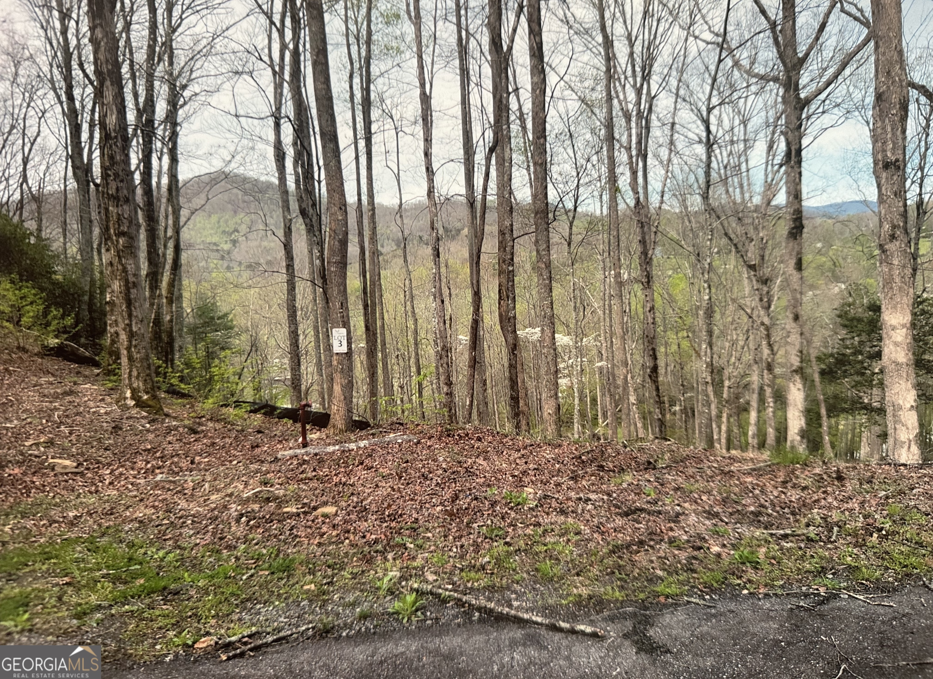 Lot 3 Buckhead Hills Property Photo 1