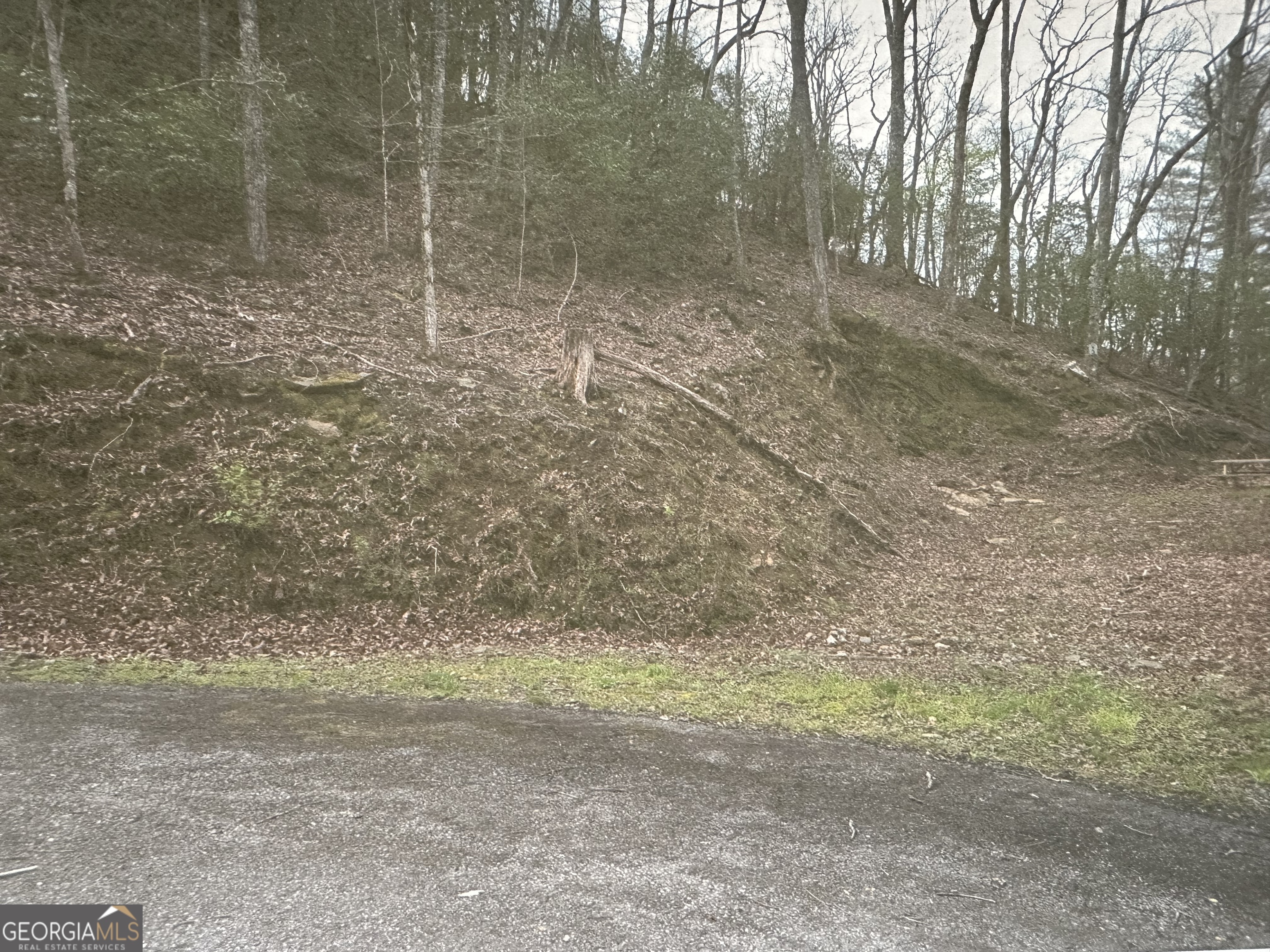 Lot 3 Buckhead Hills Property Photo 3