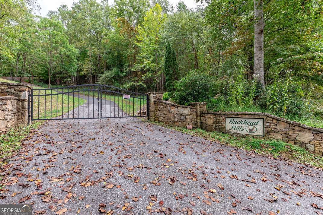 Lot 3 Buckhead Hills Property Photo 4