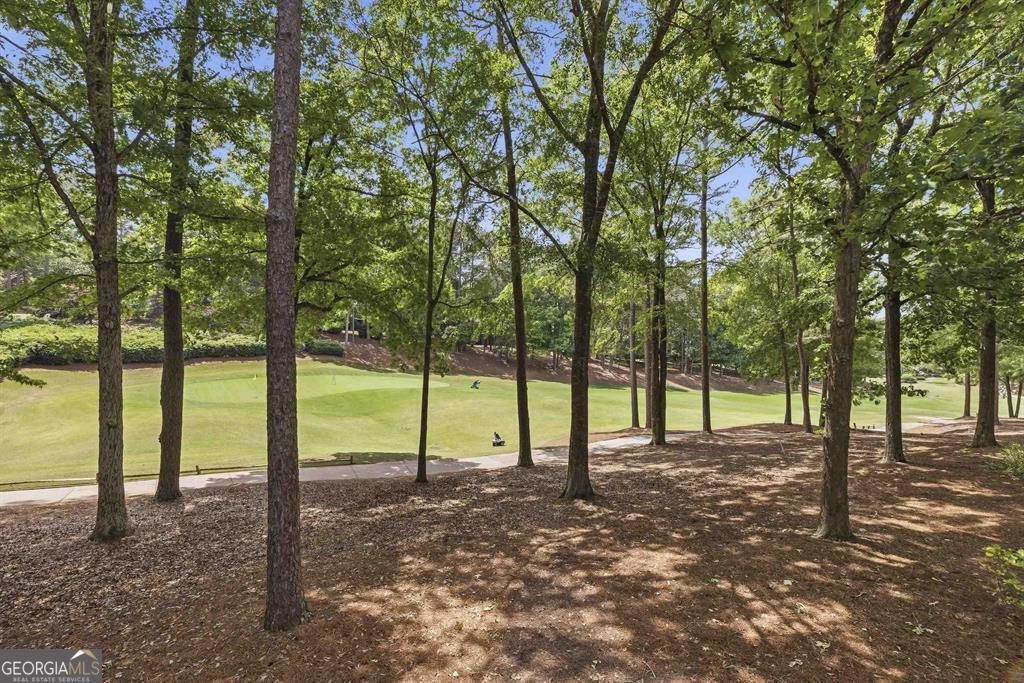 1039 Planters Trail Property Photo 12