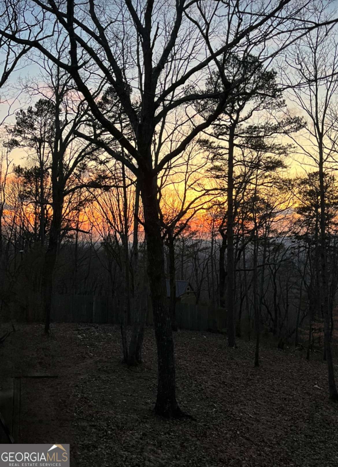437 Mccurry Trail