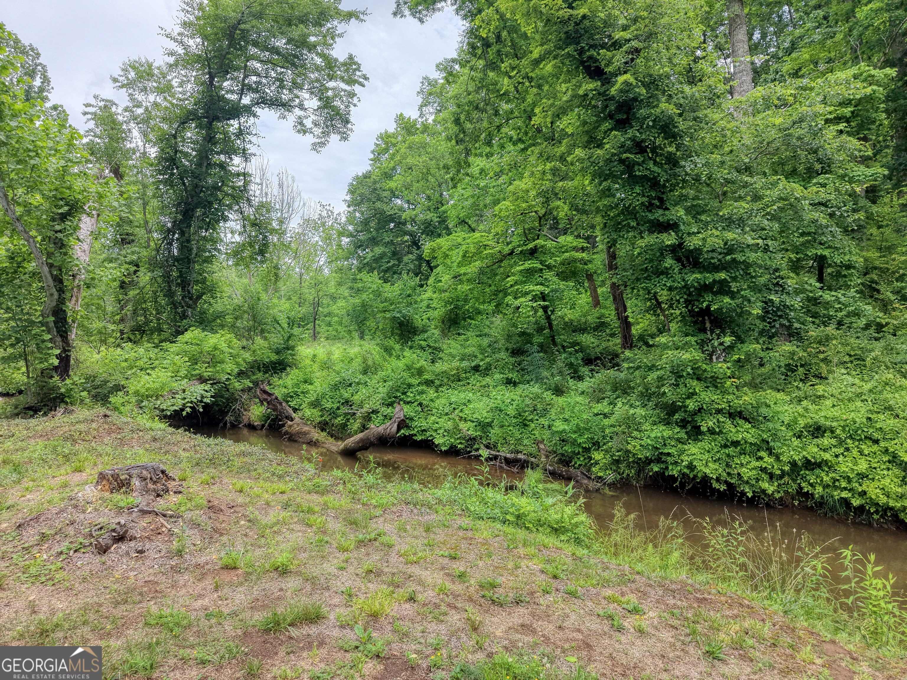 1903 Bell Eagle Drive Property Photo 67