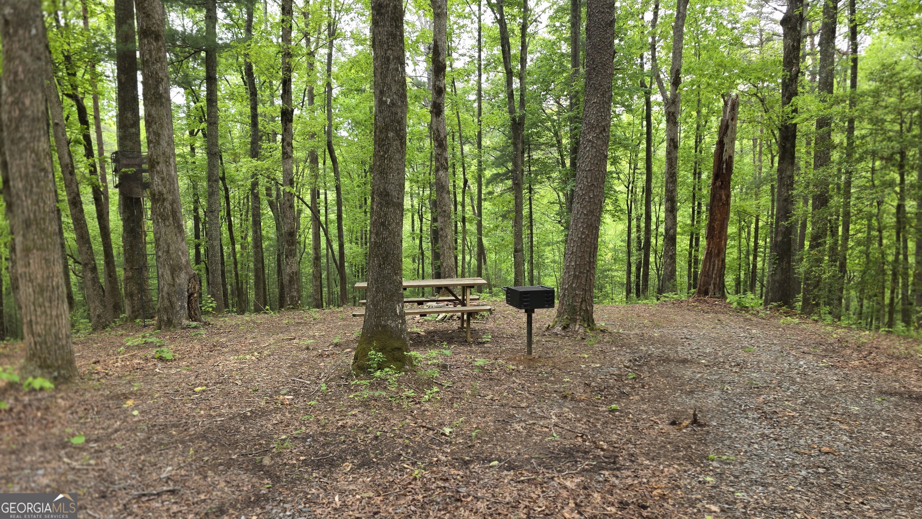 0 Pleasant Hill Trail Property Photo 3