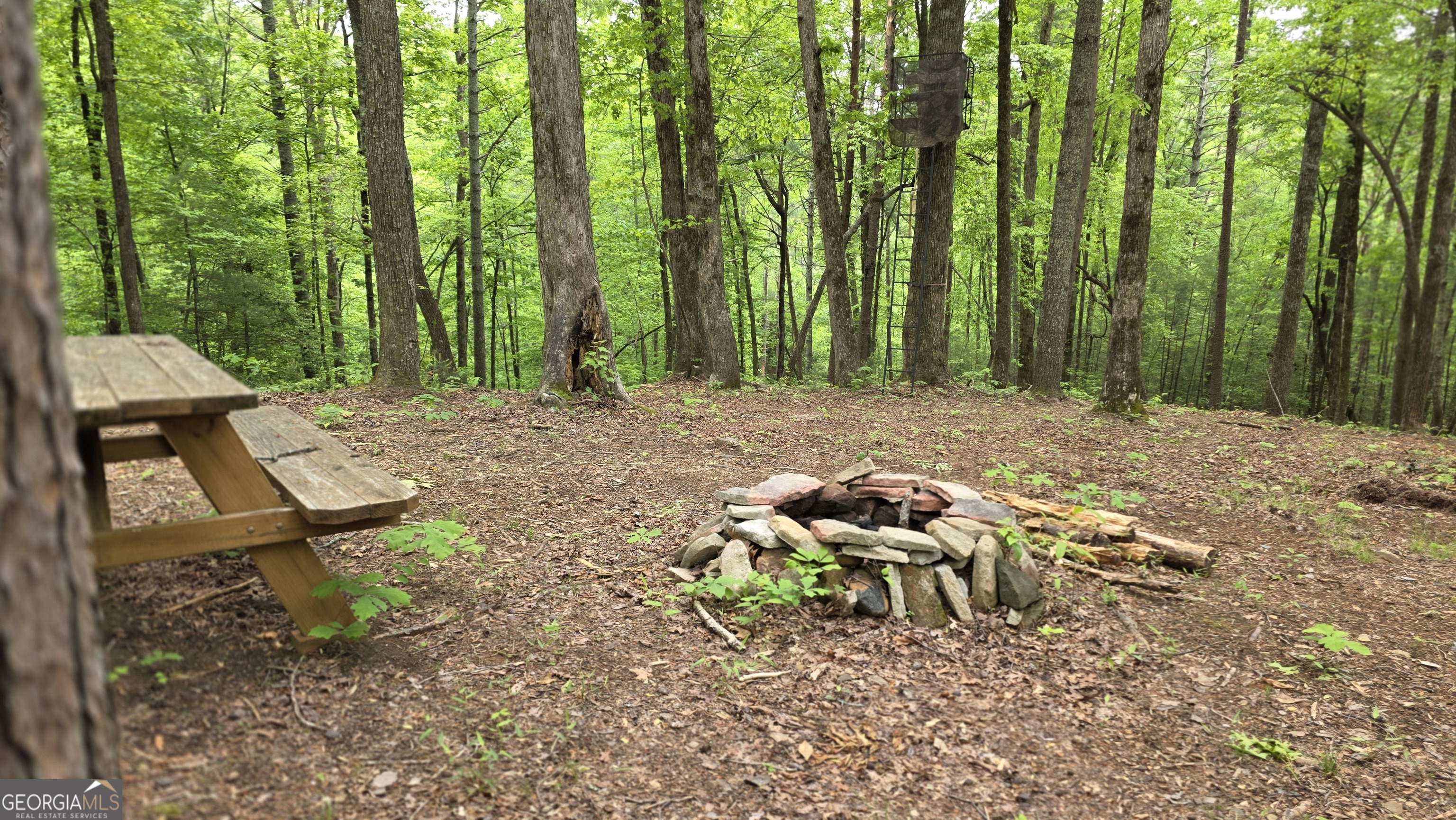 0 Pleasant Hill Trail Property Photo 4