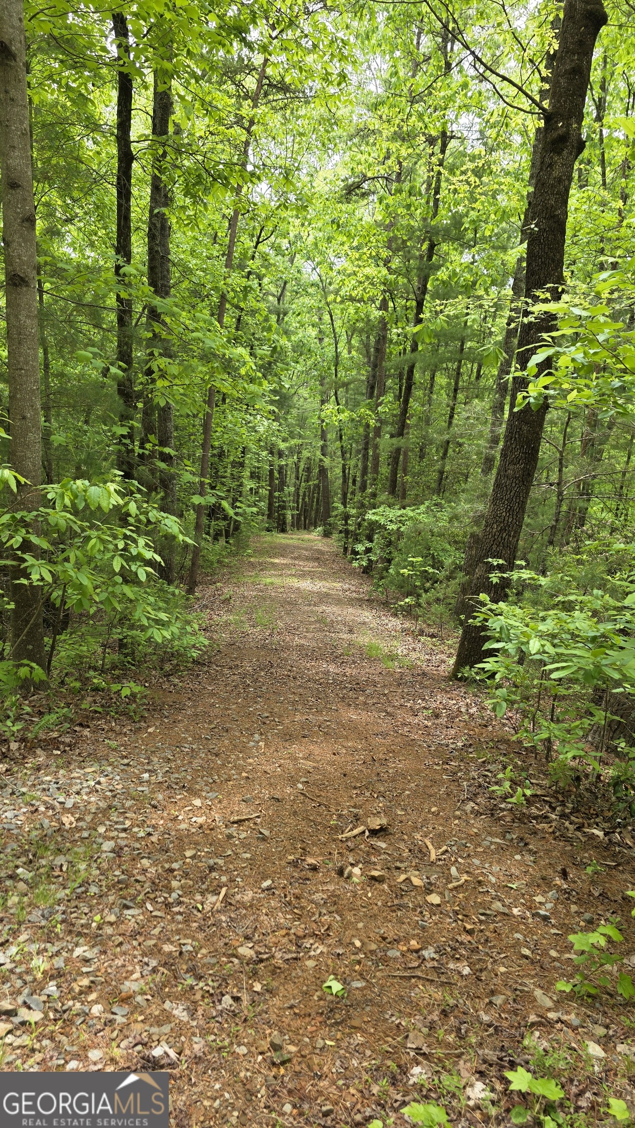 0 Pleasant Hill Trail Property Photo 6