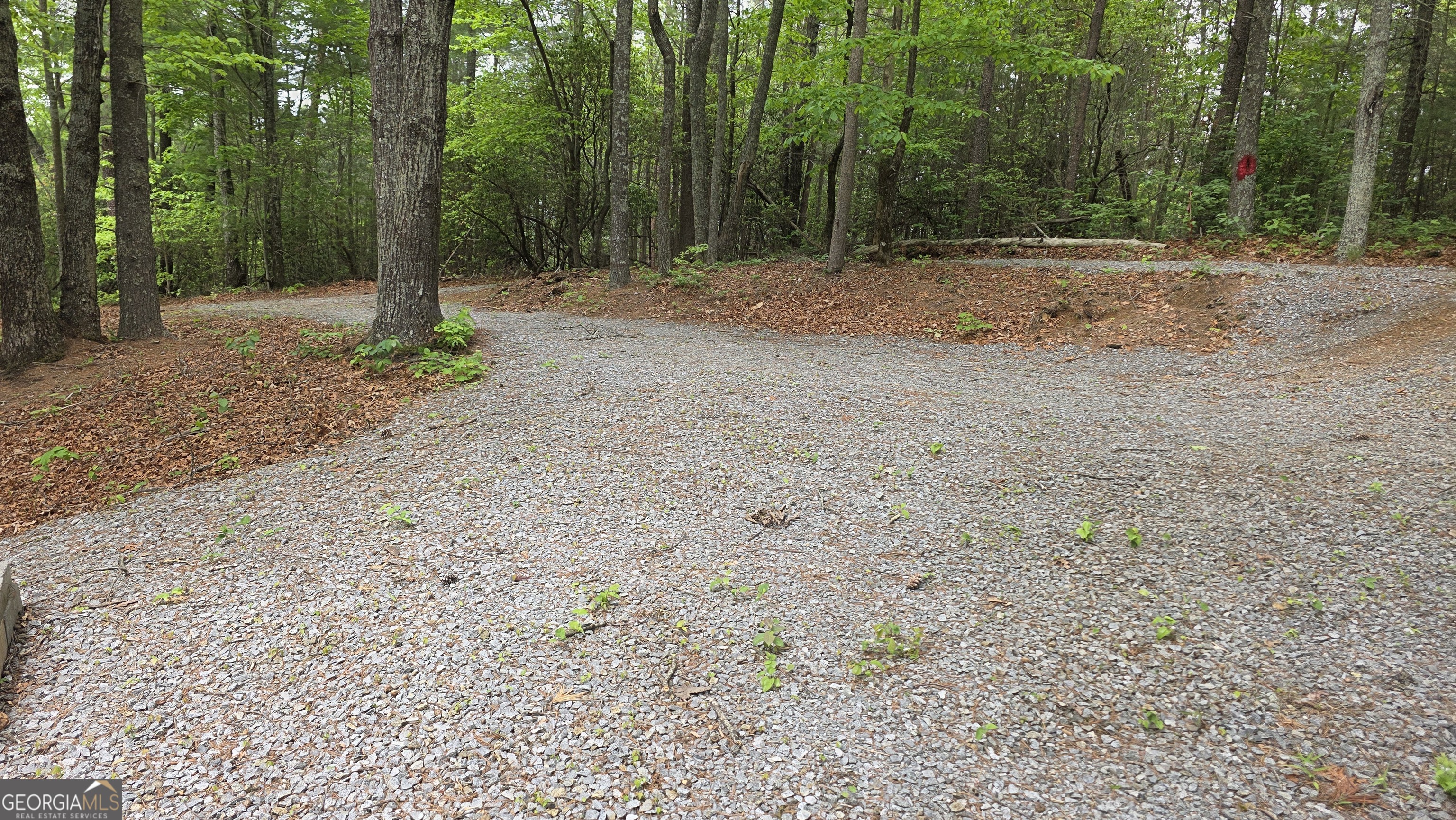 0 Pleasant Hill Trail Property Photo 11