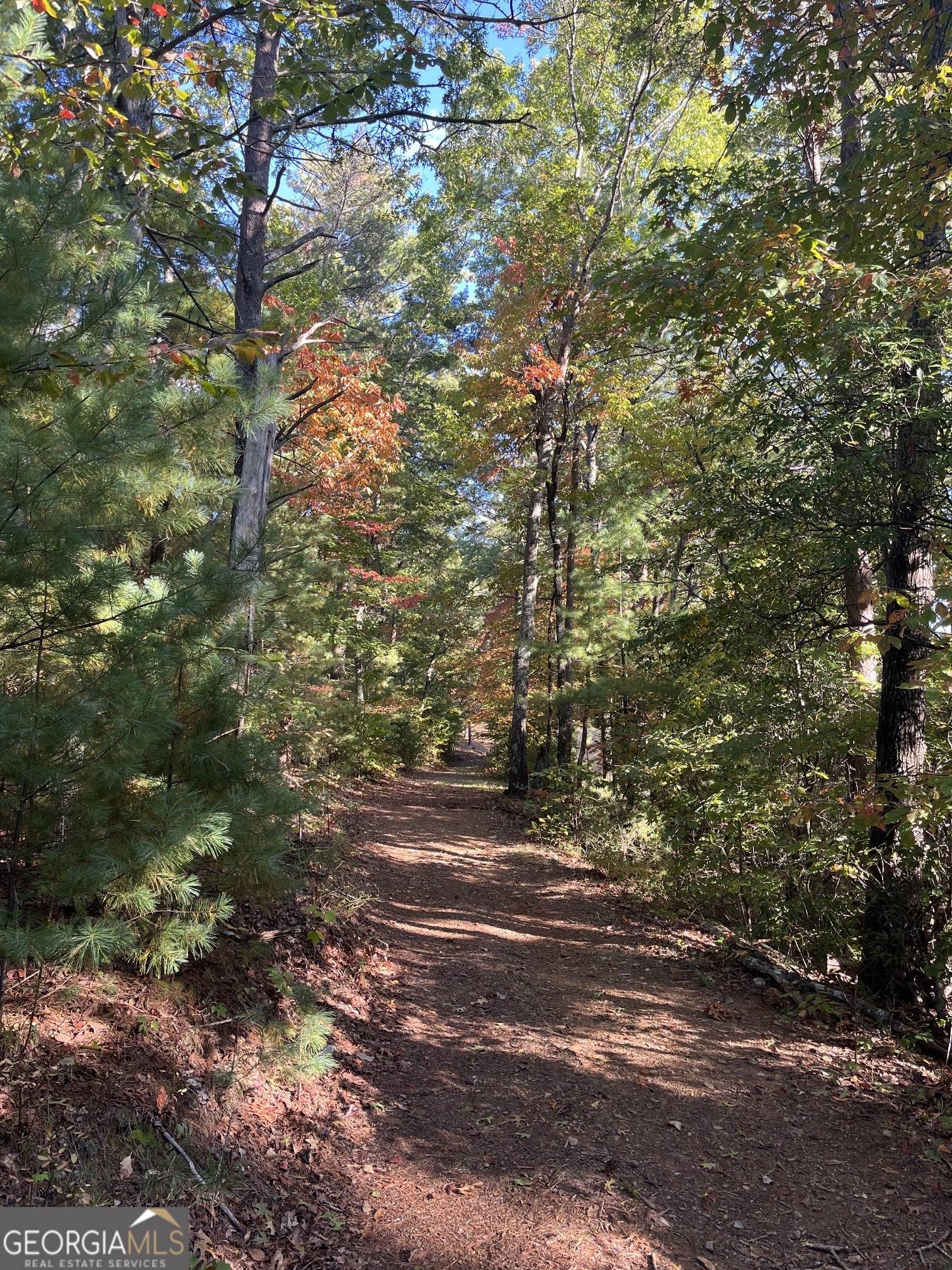 0 Pleasant Hill Trail Property Photo 16