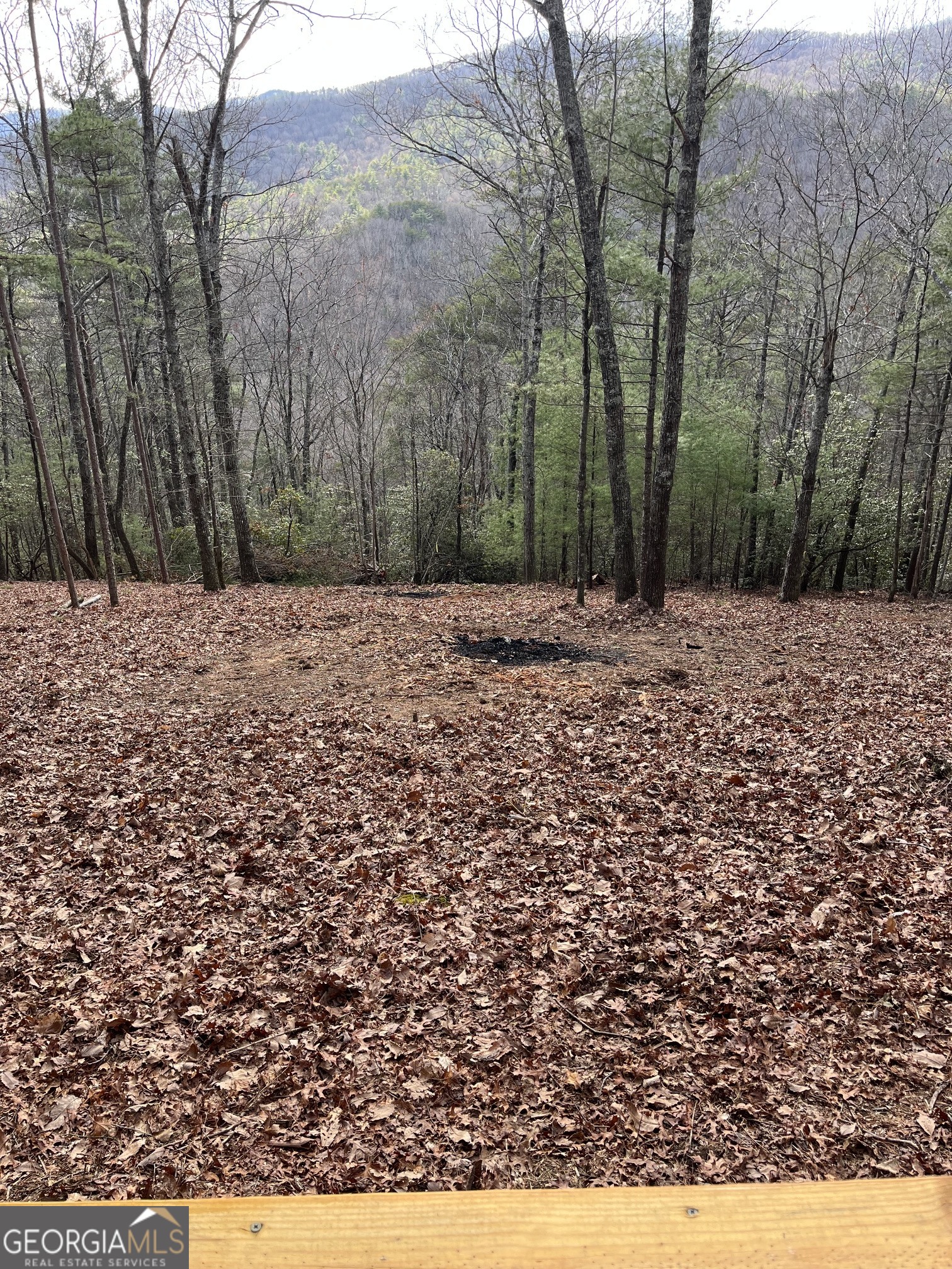 0 Pleasant Hill Trail Property Photo 21