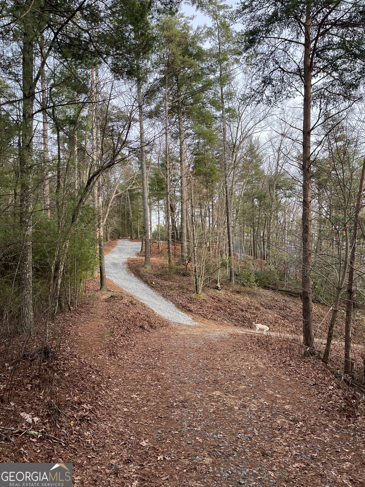 0 Pleasant Hill Trail Property Photo 22
