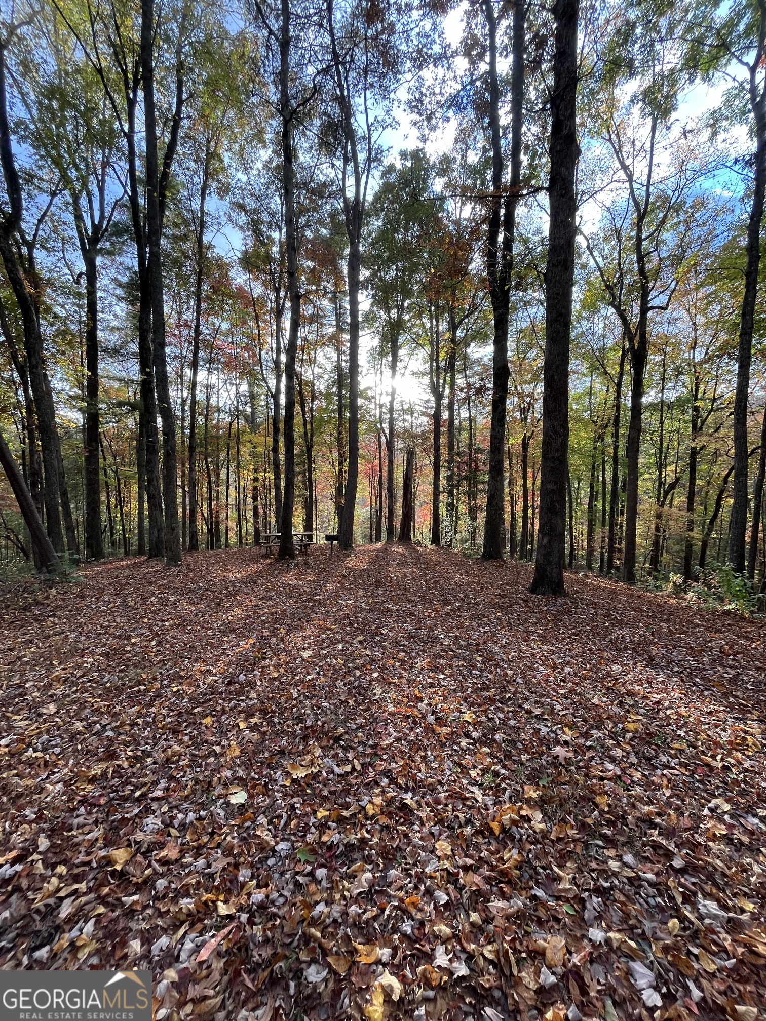 0 Pleasant Hill Trail Property Photo 26