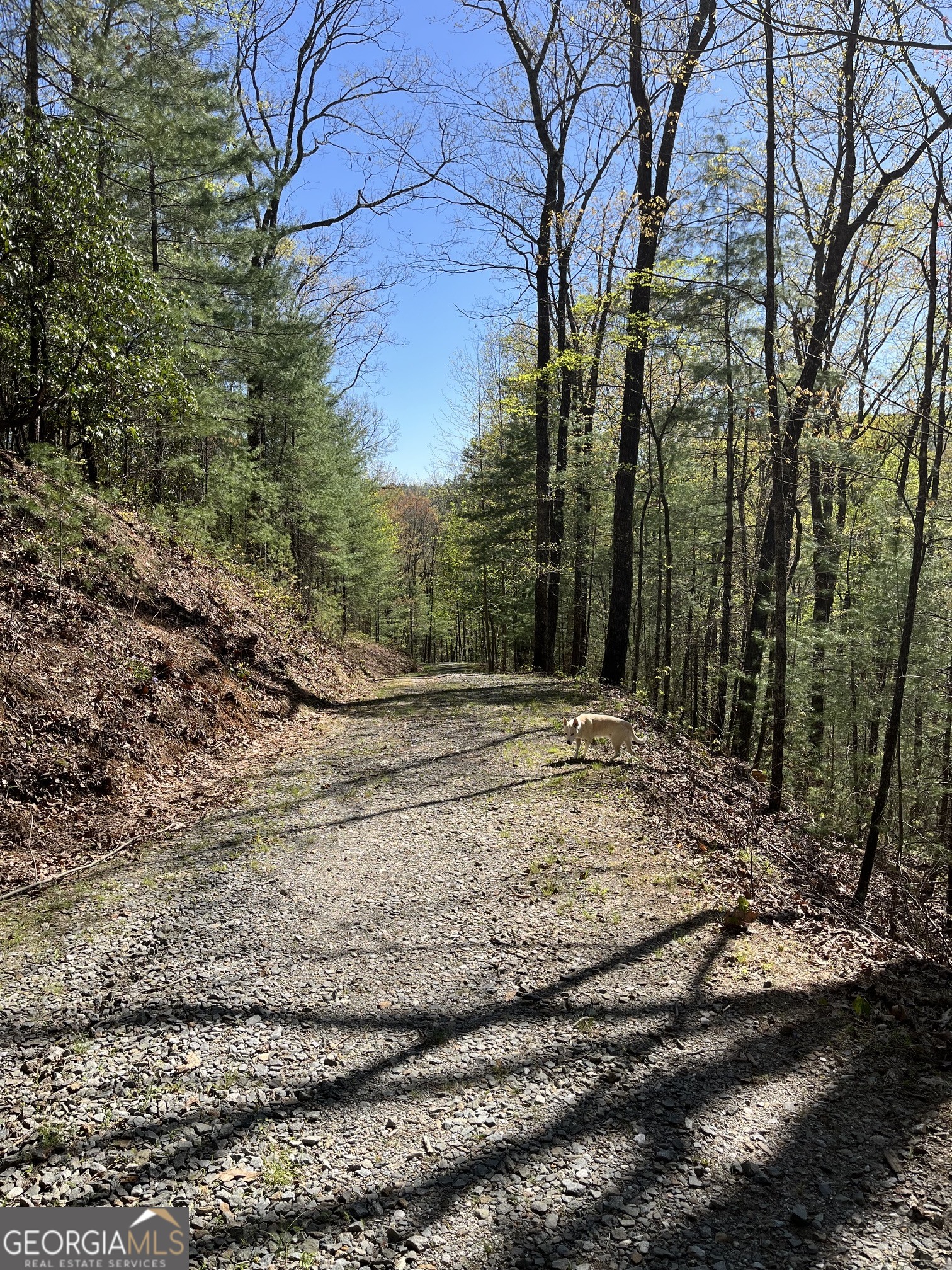 0 Pleasant Hill Trail Property Photo 29