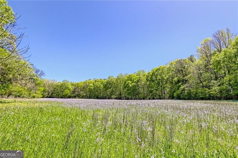 1103 Apple Pie Ridge Road Property Photo 133