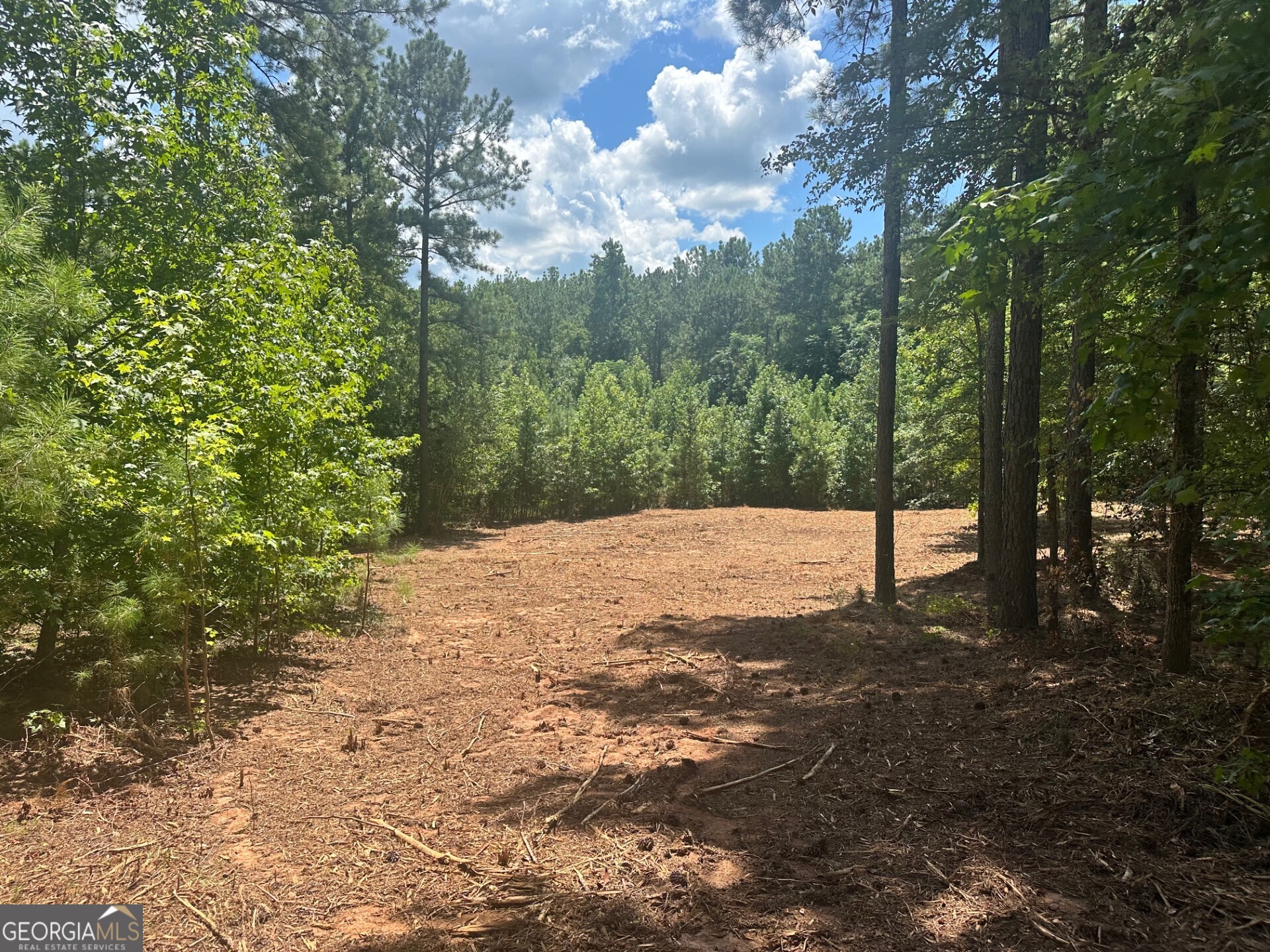 0 Ruckersville Road Property Photo 1