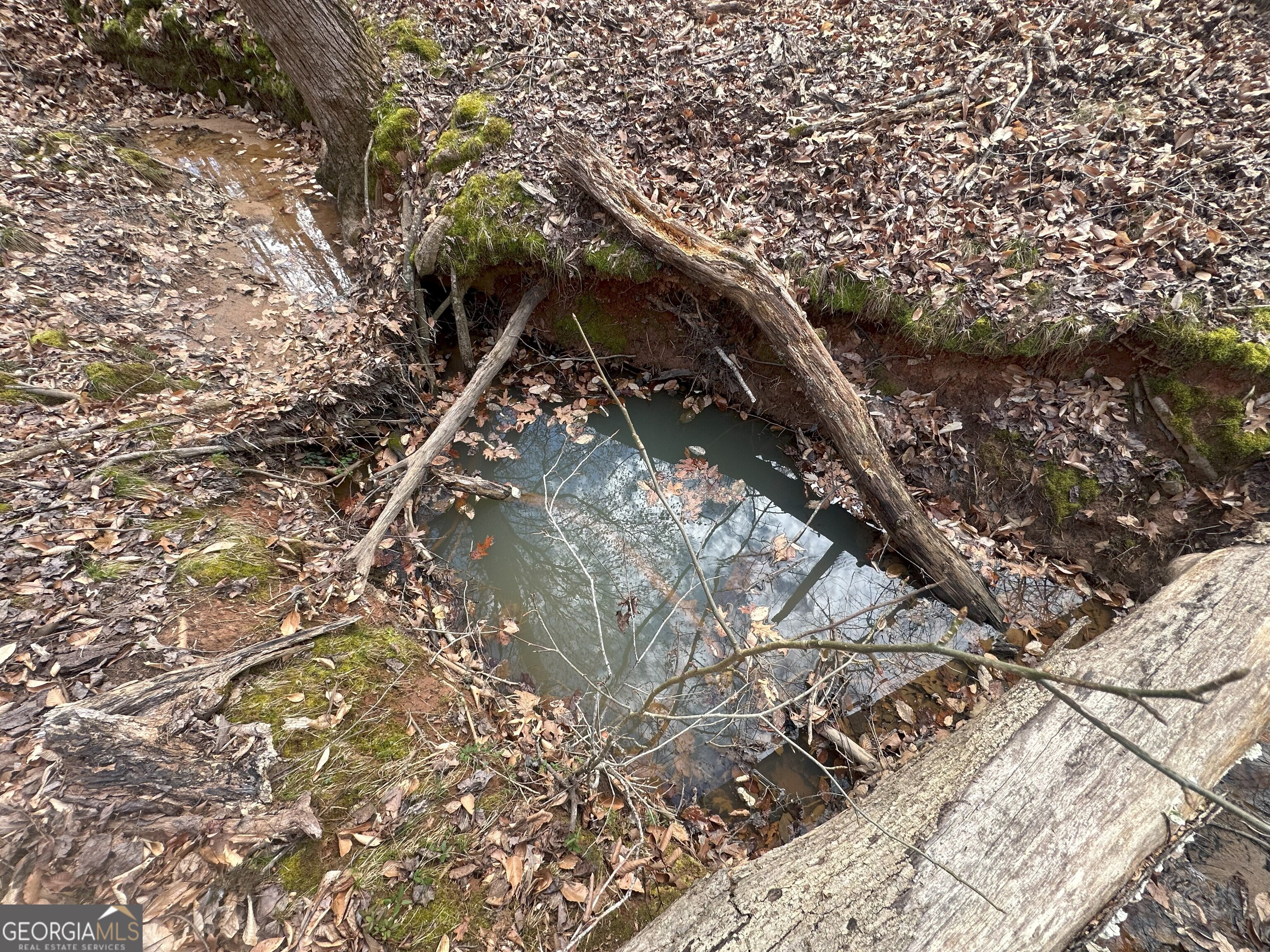 0 Ruckersville Road Property Photo 2
