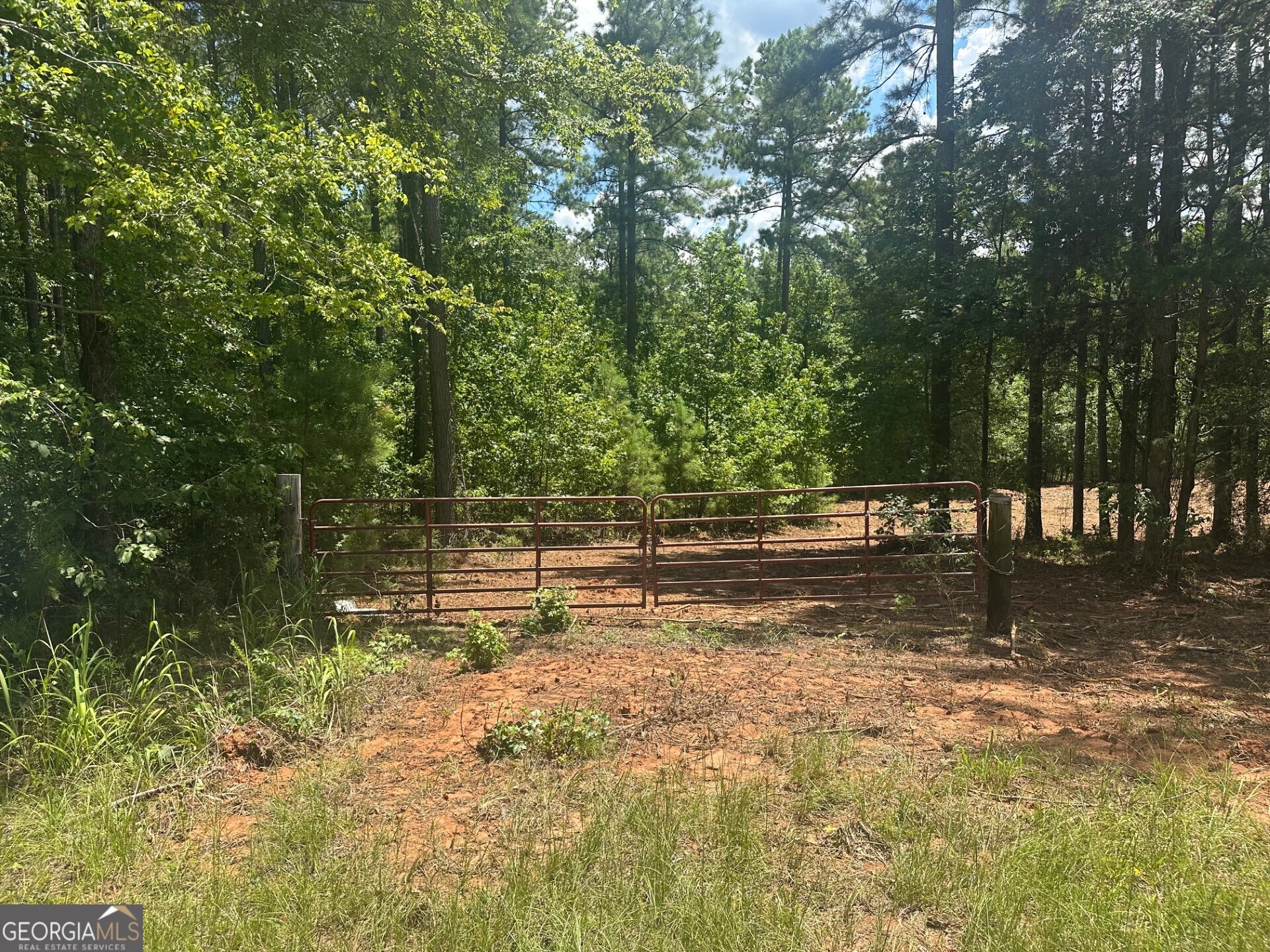 0 Ruckersville Road Property Photo 3