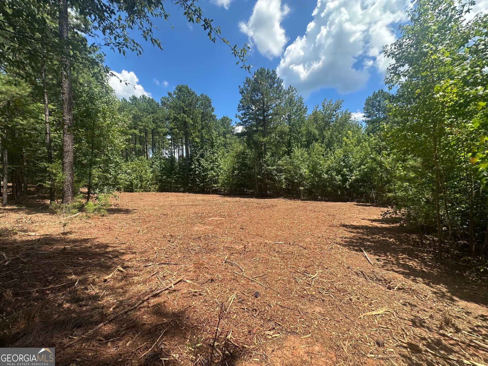 0 Ruckersville Road Property Photo 4