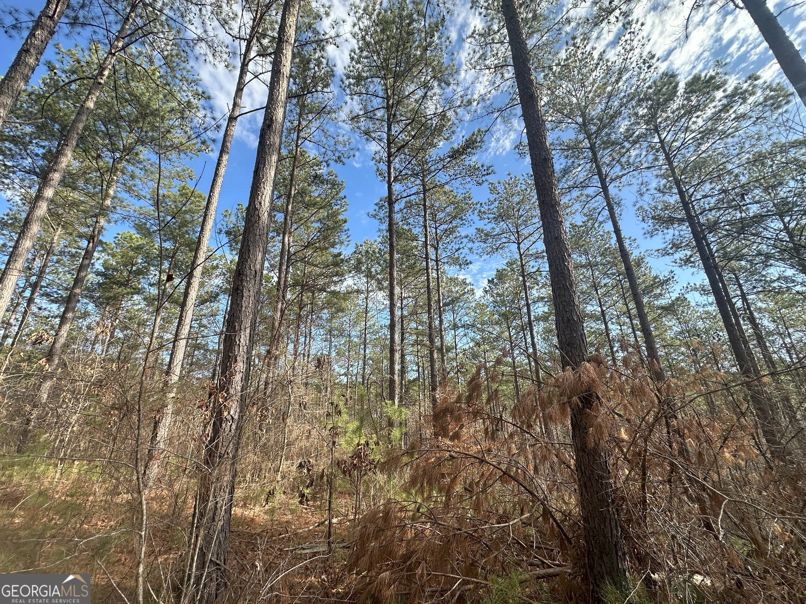 0 Ruckersville Road Property Photo 5