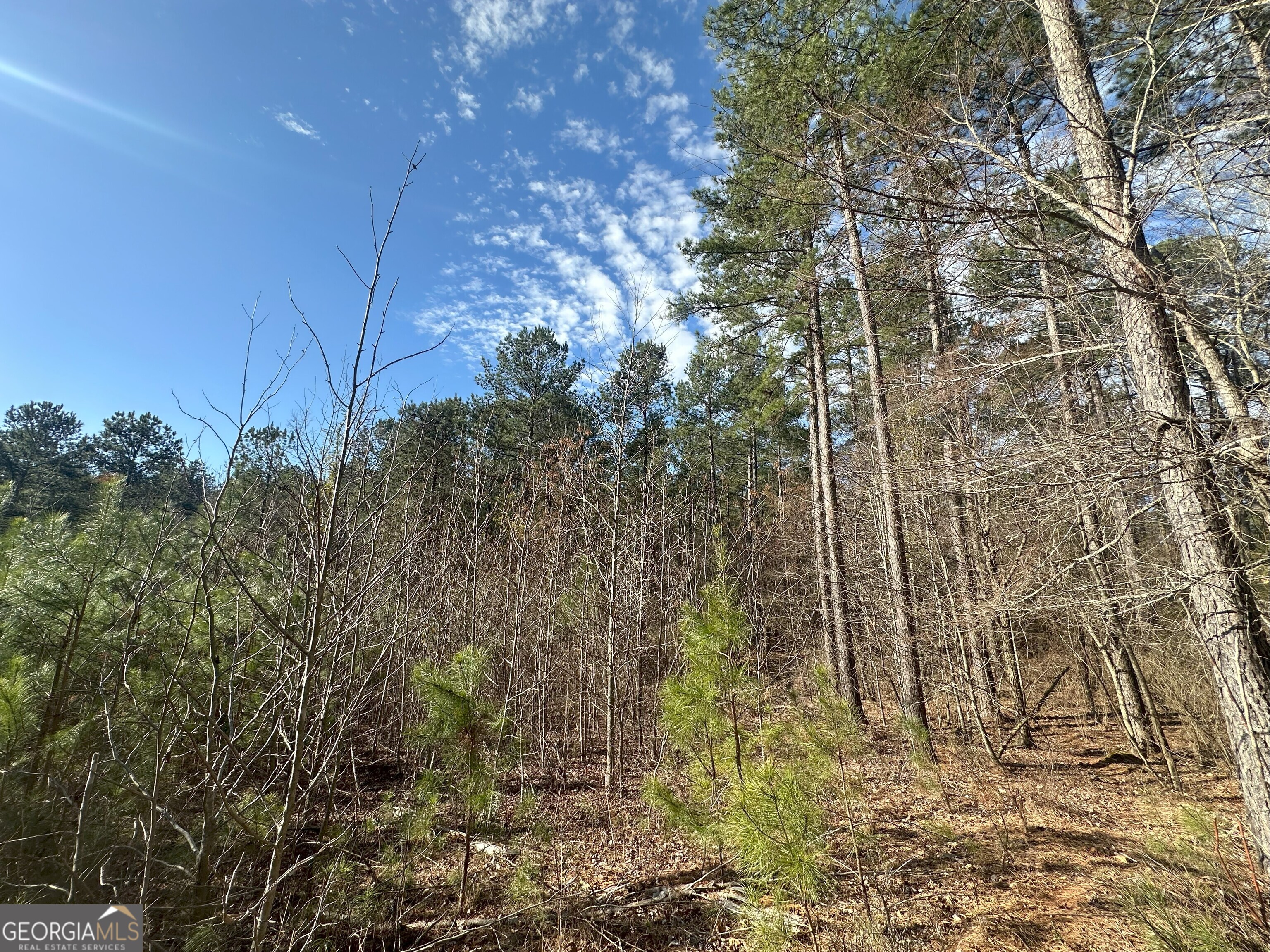 0 Ruckersville Road Property Photo 6