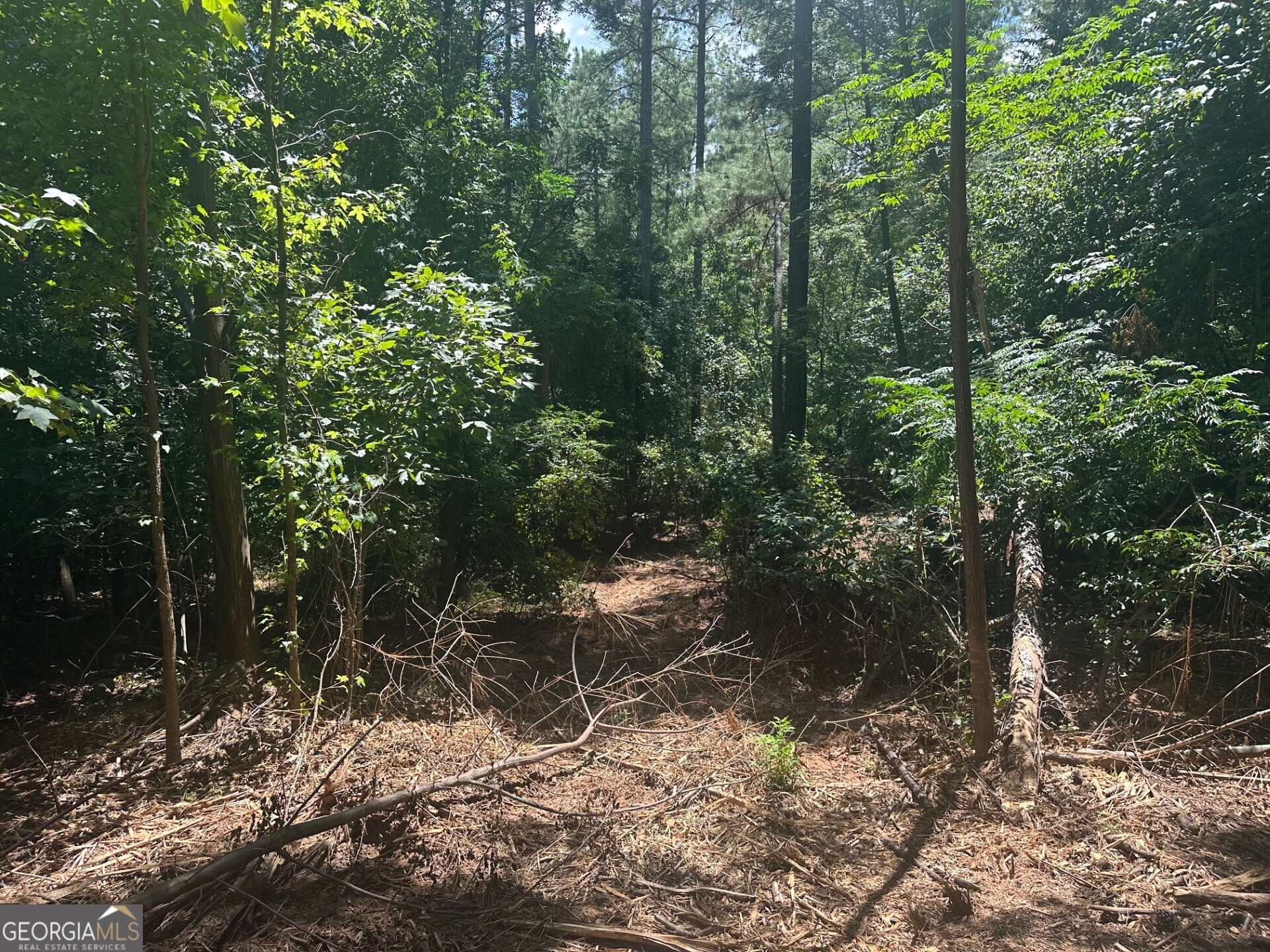 0 Ruckersville Road Property Photo 7