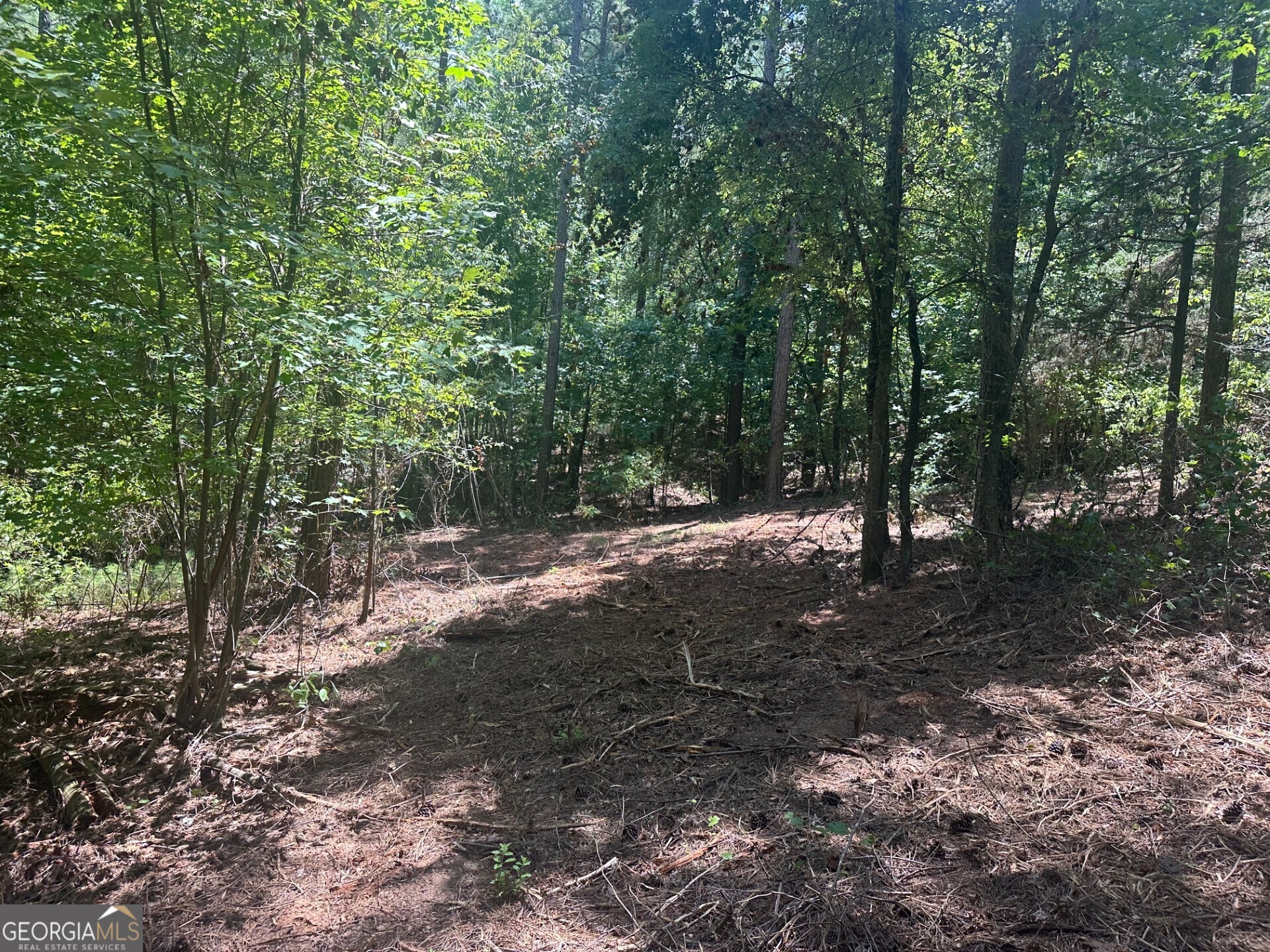 0 Ruckersville Road Property Photo 8