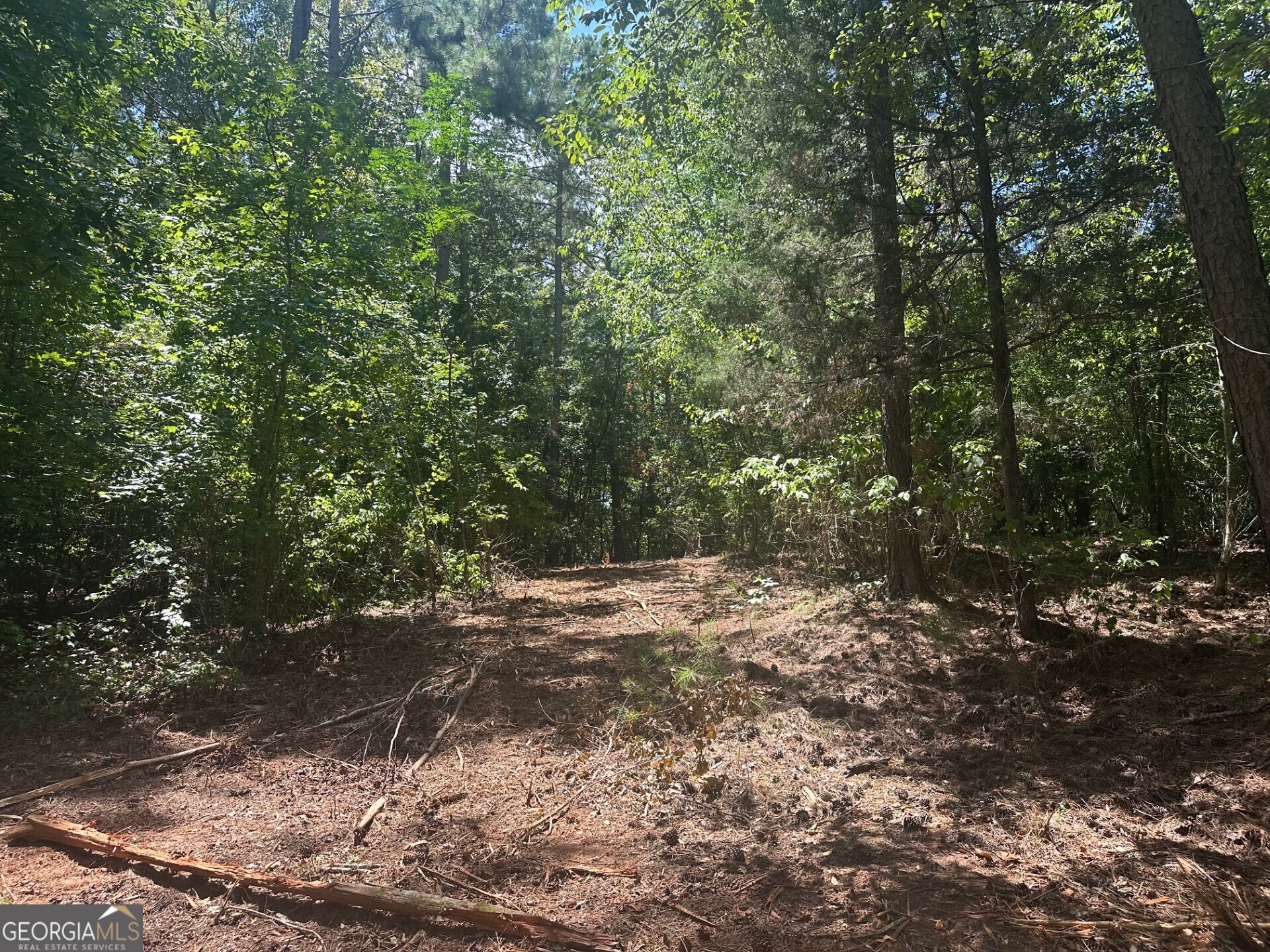 0 Ruckersville Road Property Photo 9