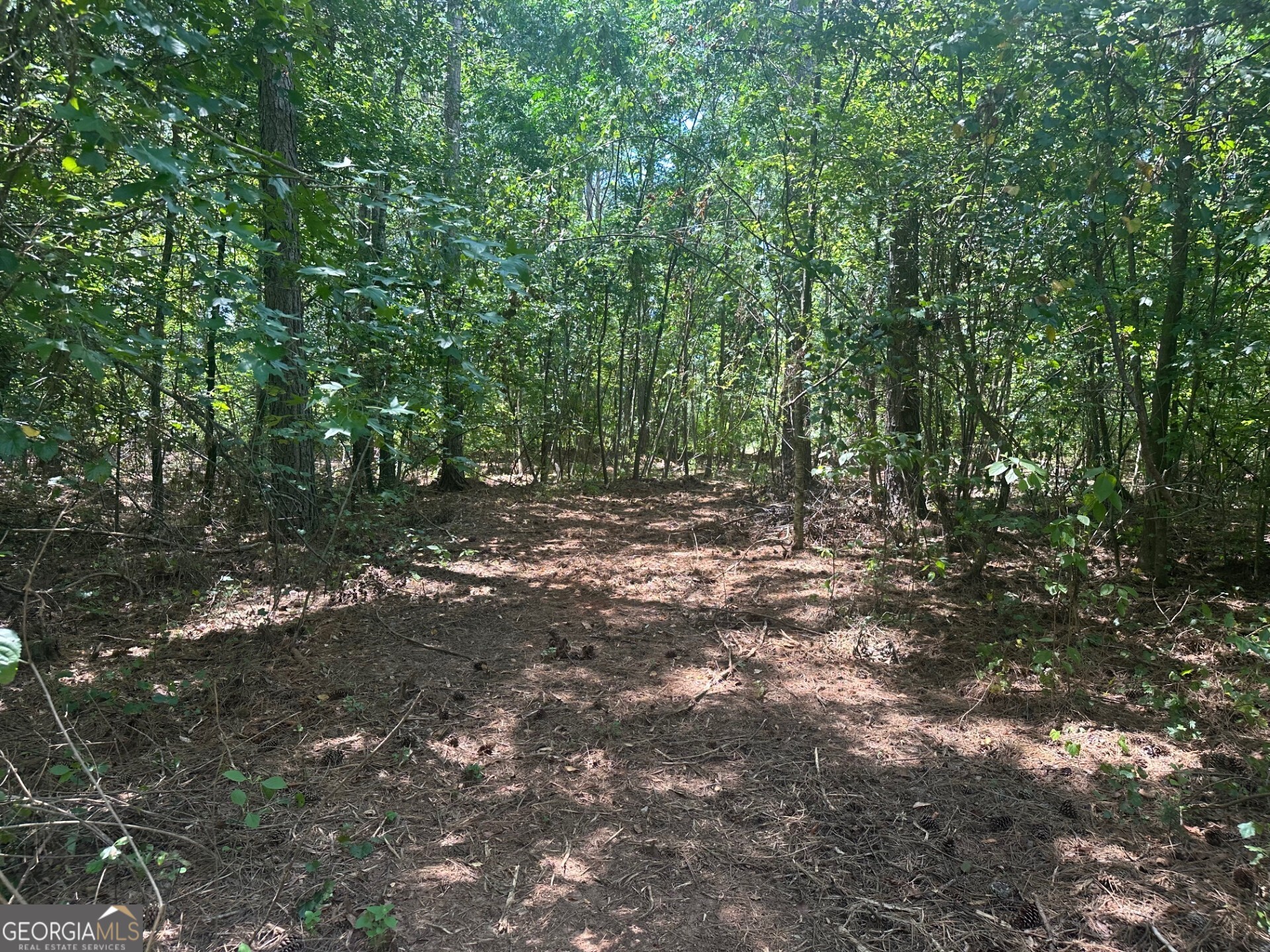 0 Ruckersville Road Property Photo 10