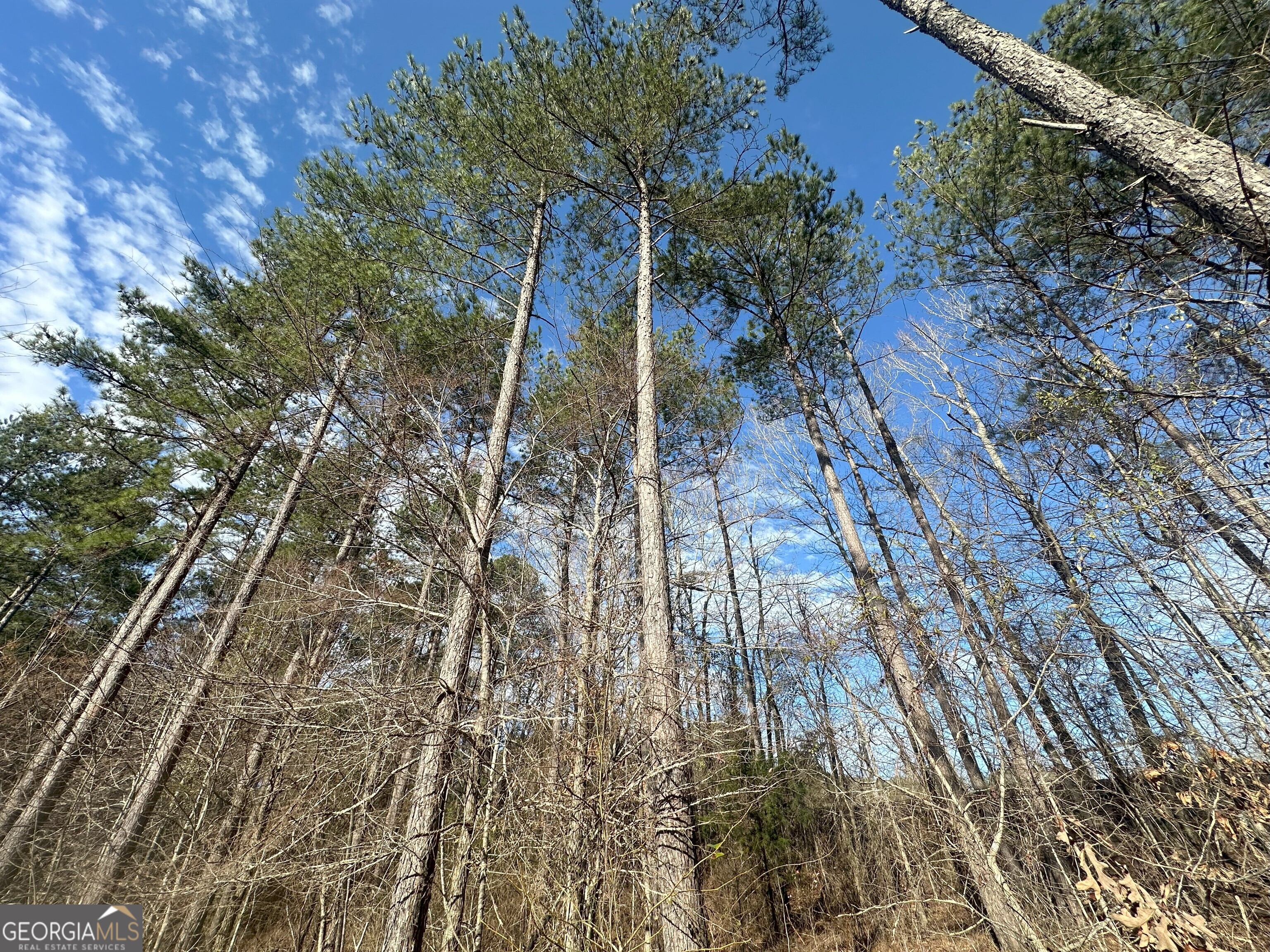 0 Ruckersville Road Property Photo 13