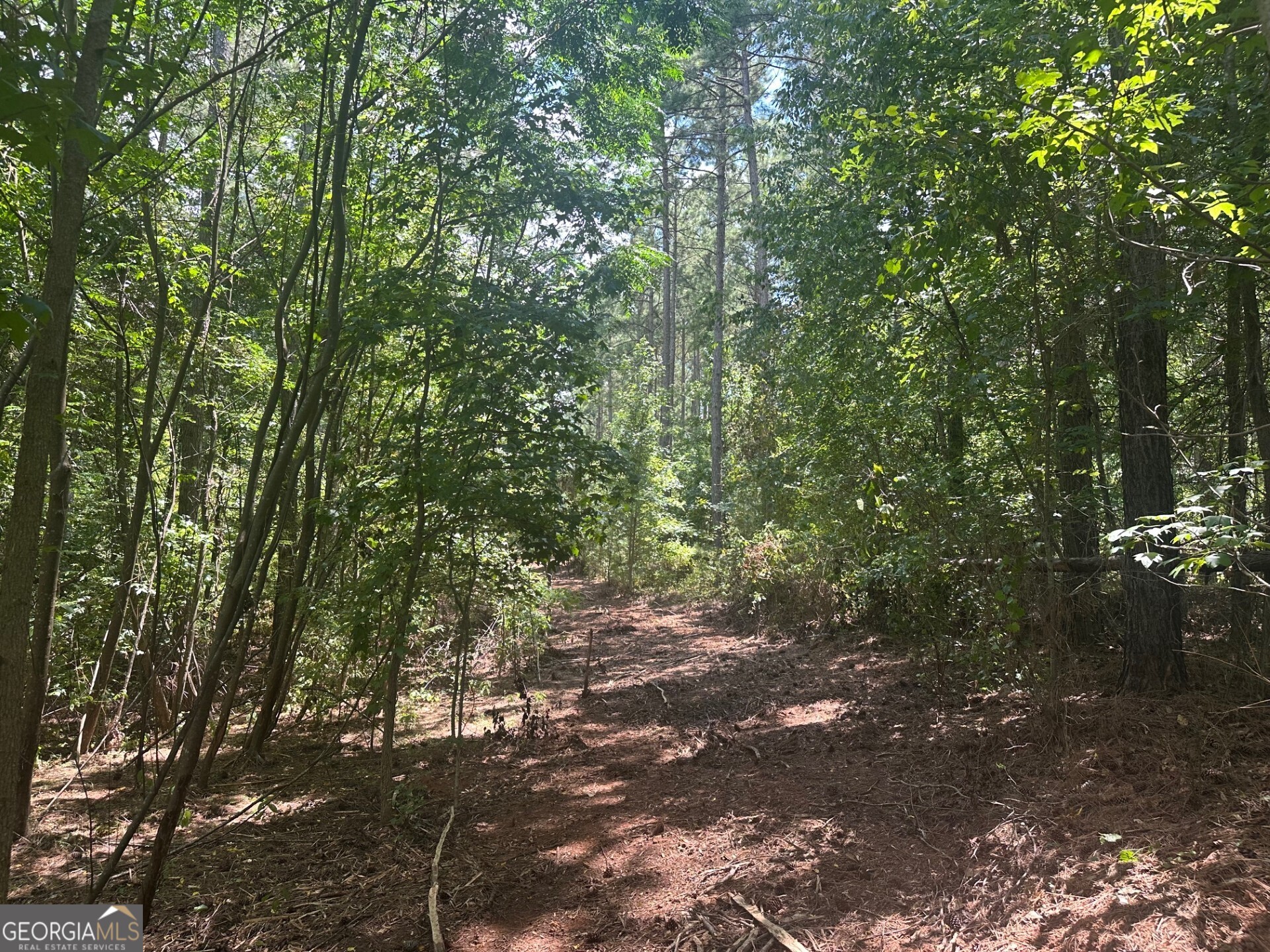0 Ruckersville Road Property Photo 14