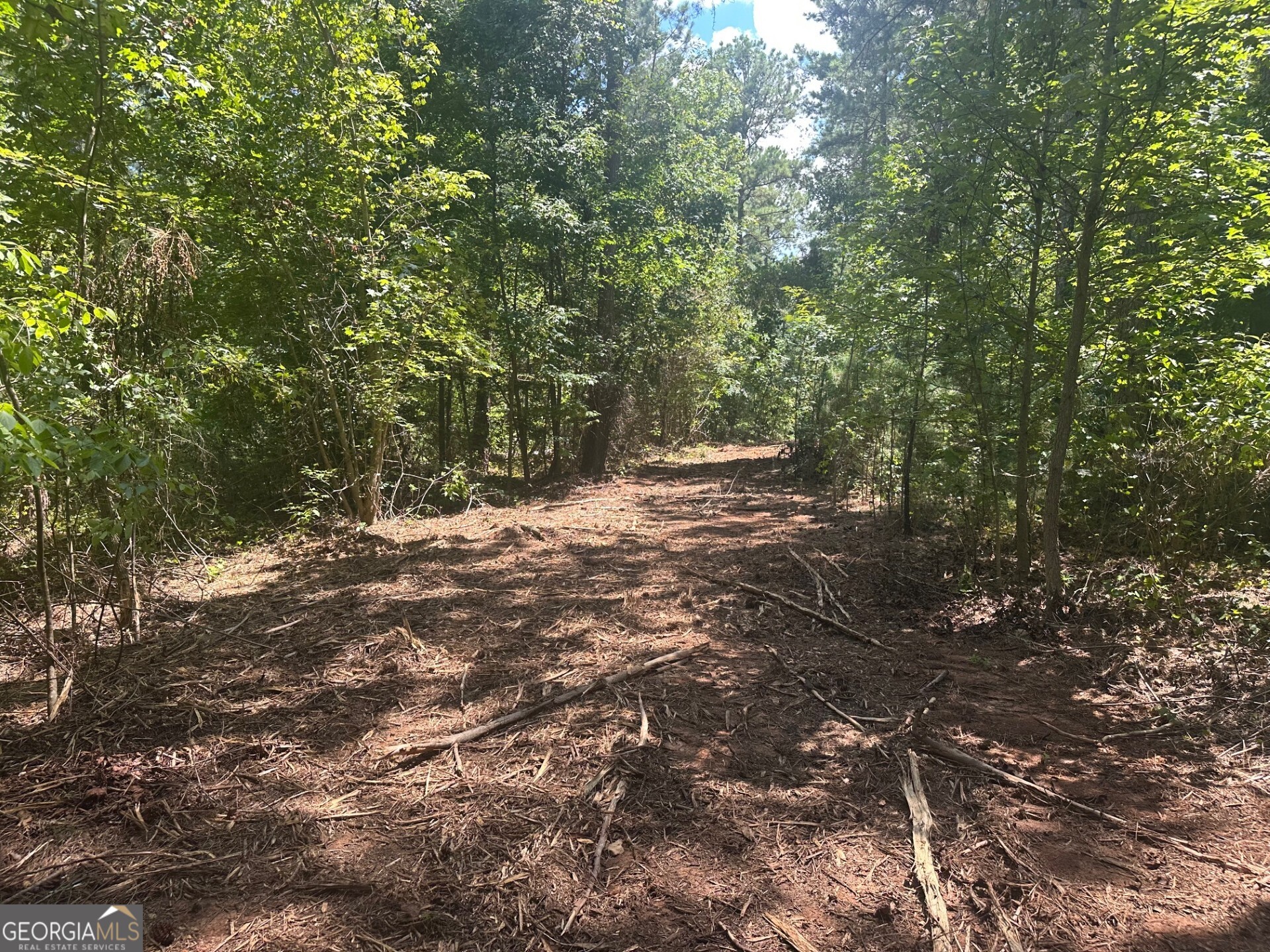 0 Ruckersville Road Property Photo 15