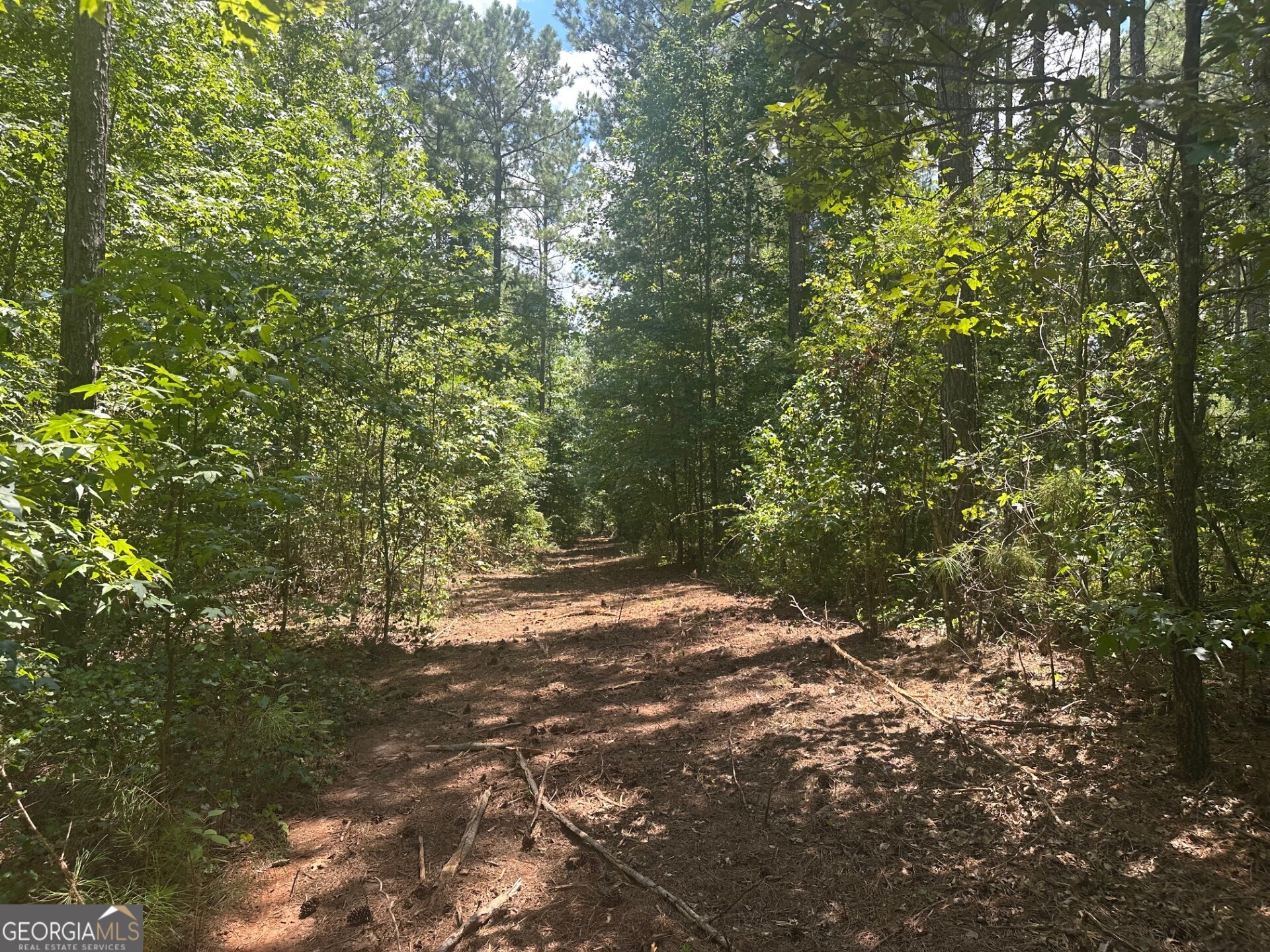 0 Ruckersville Road Property Photo 16