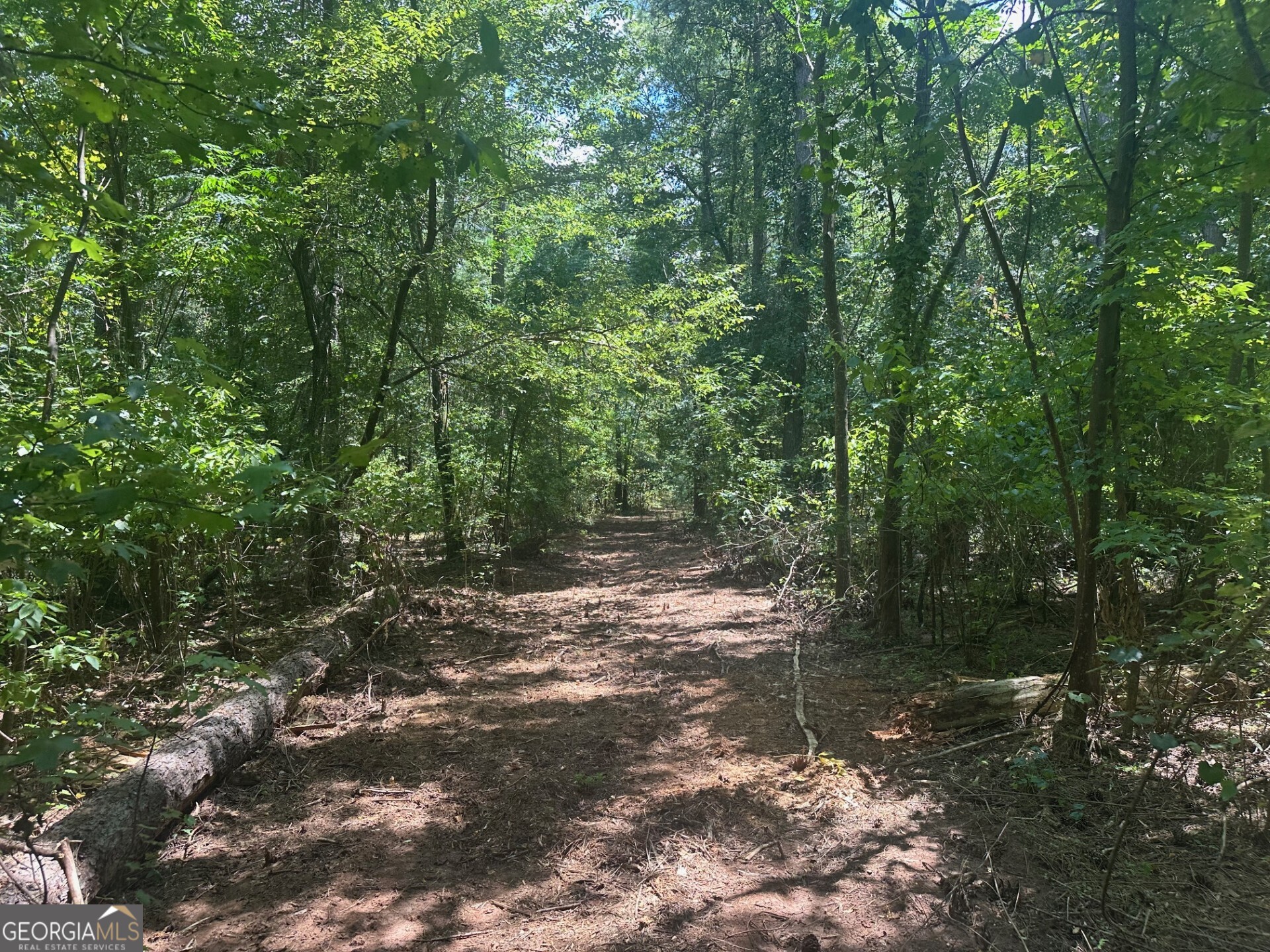 0 Ruckersville Road Property Photo 17
