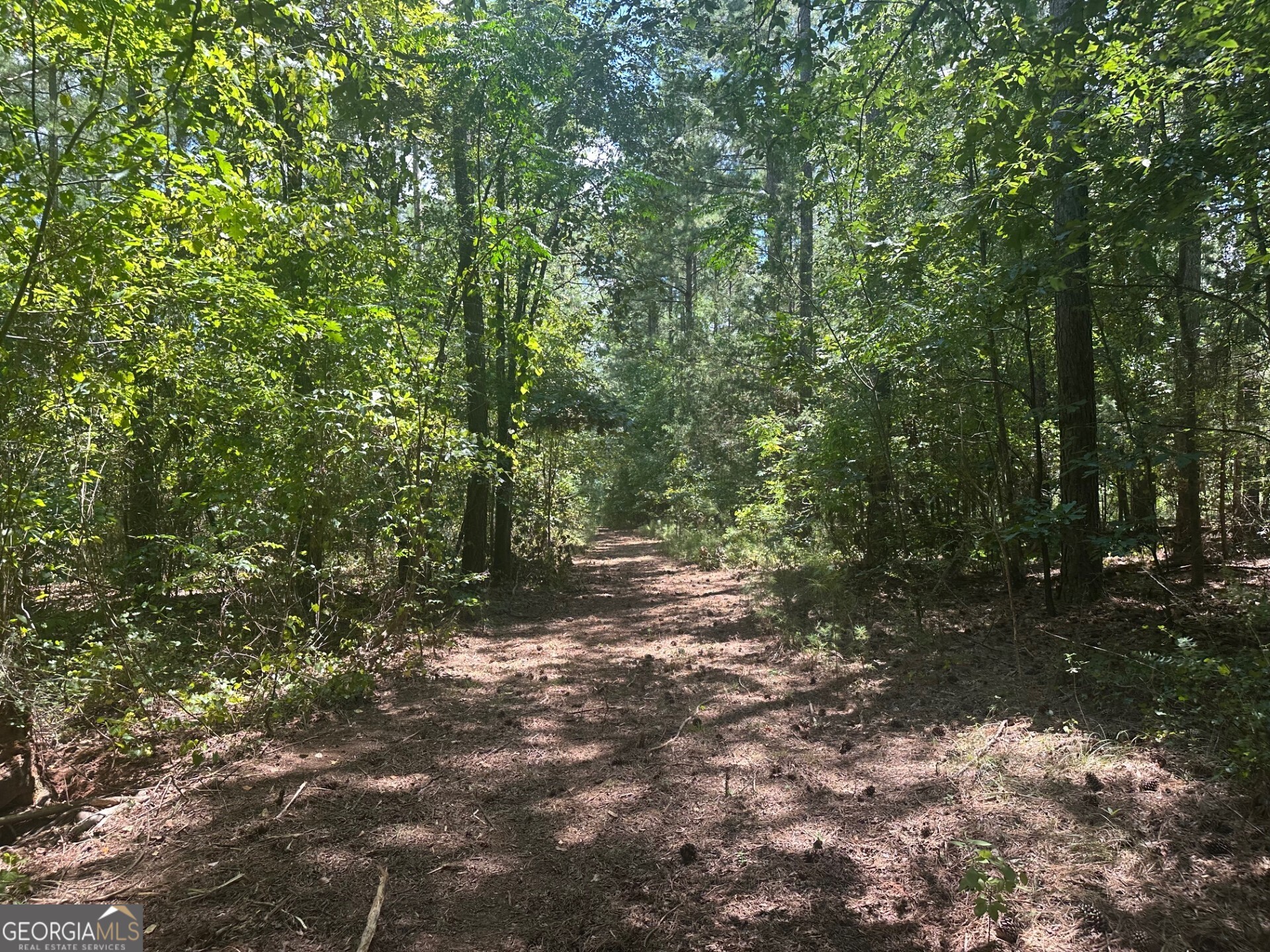 0 Ruckersville Road Property Photo 18