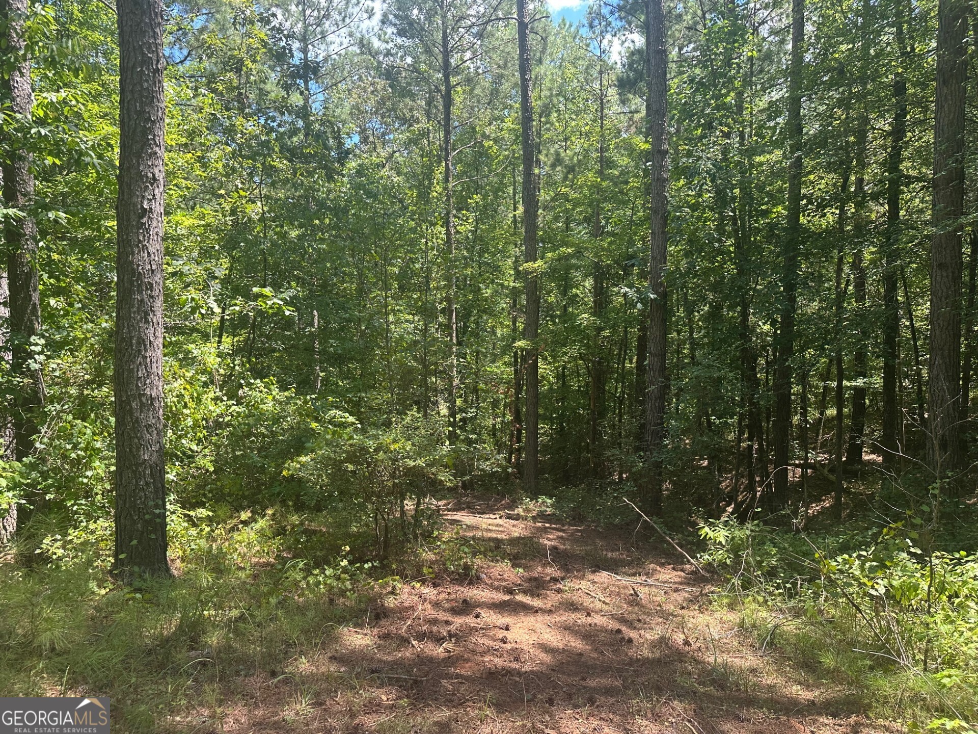 0 Ruckersville Road Property Photo 21