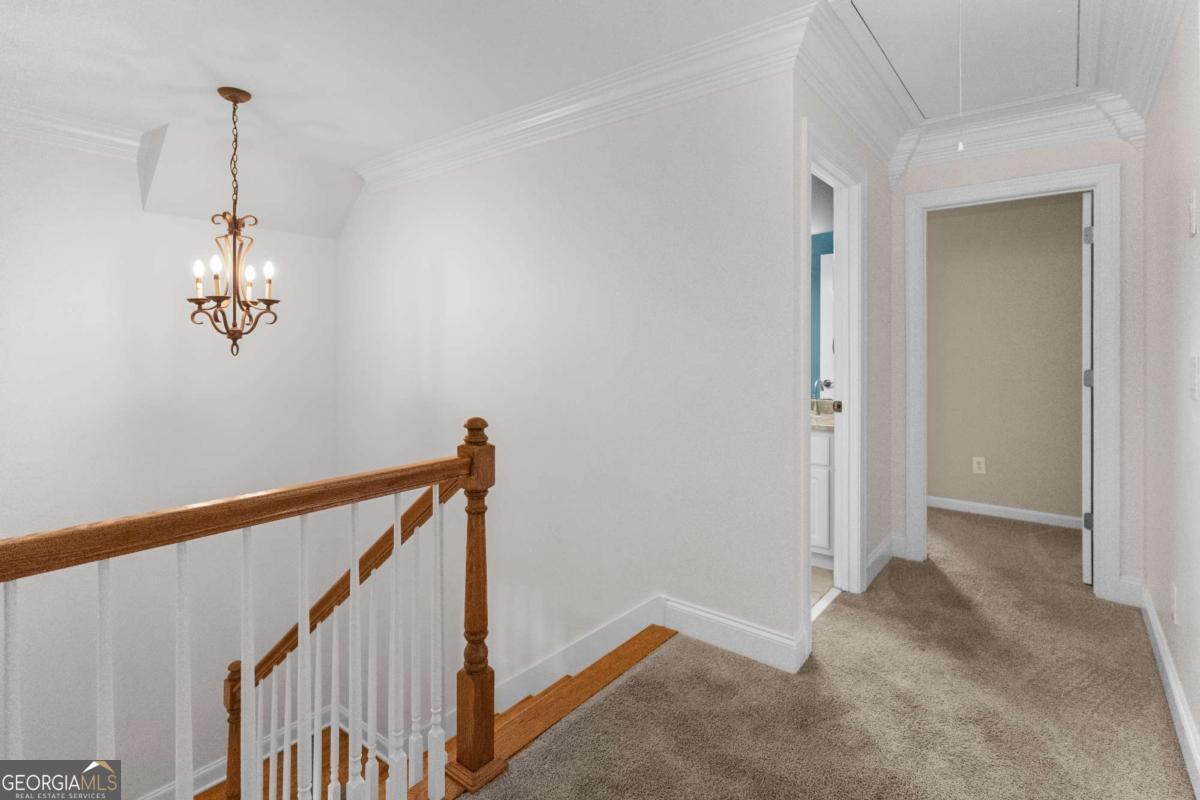 1031 Founders Lake Drive Property Photo 43