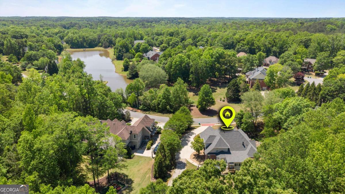 1031 Founders Lake Drive Property Photo 66