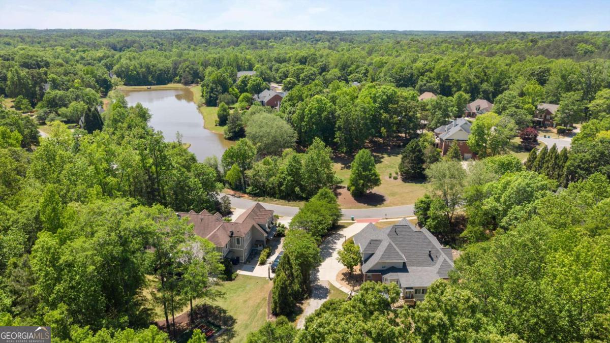 1031 Founders Lake Drive Property Photo 76