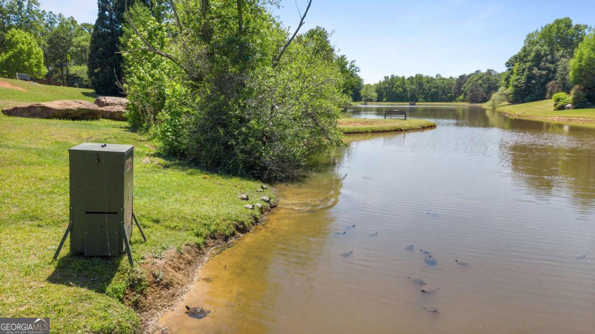 1031 Founders Lake Drive Property Photo 81
