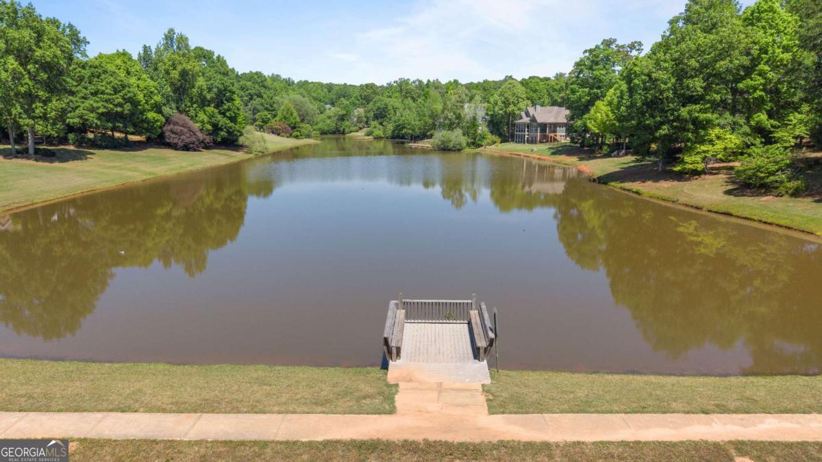 1031 Founders Lake Drive Property Photo 83