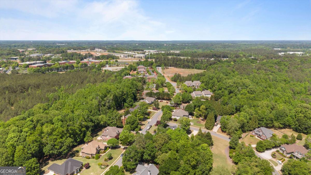 1031 Founders Lake Drive Property Photo 84