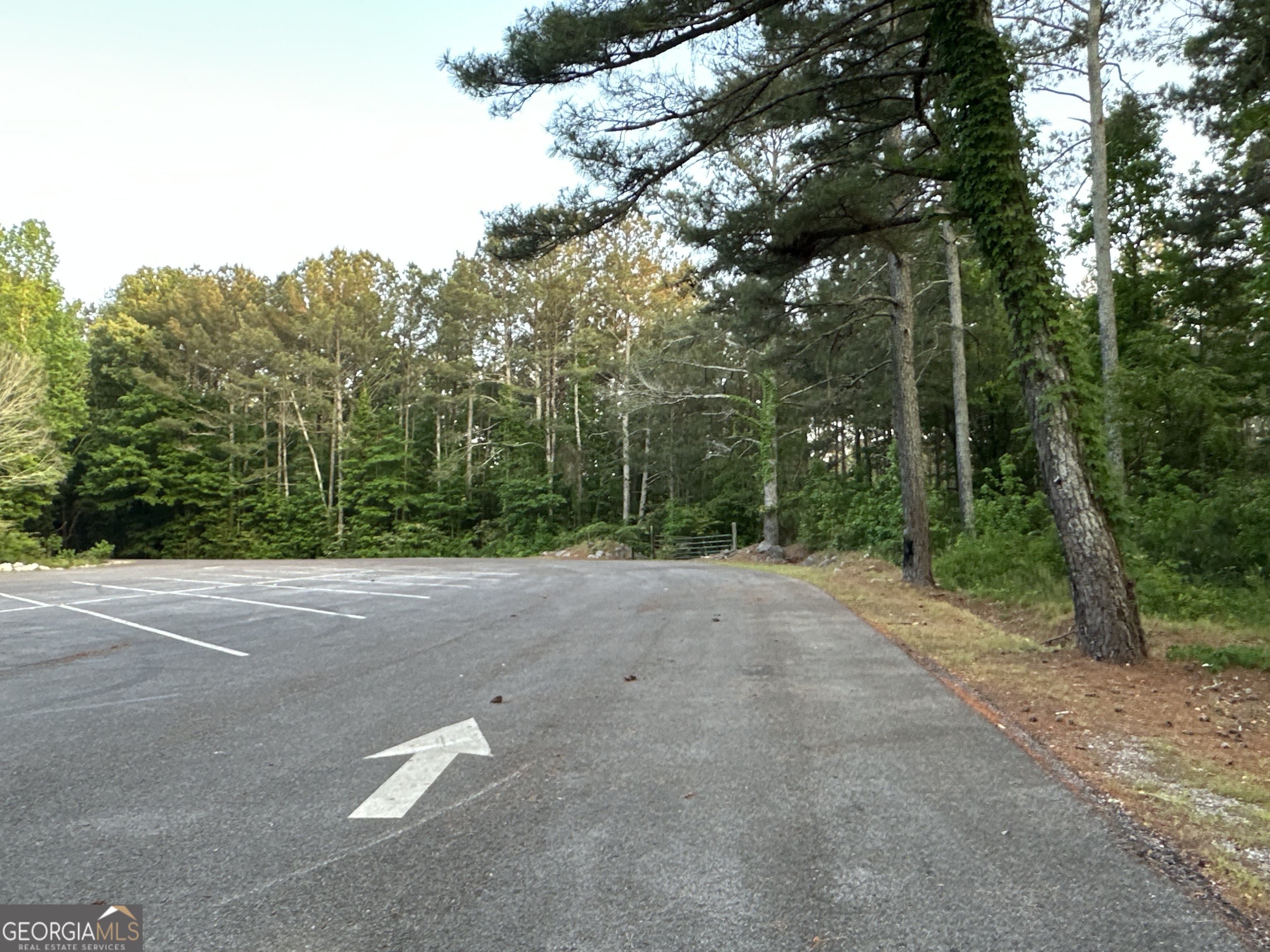 Lot 7 County Road 520 Property Photo 19
