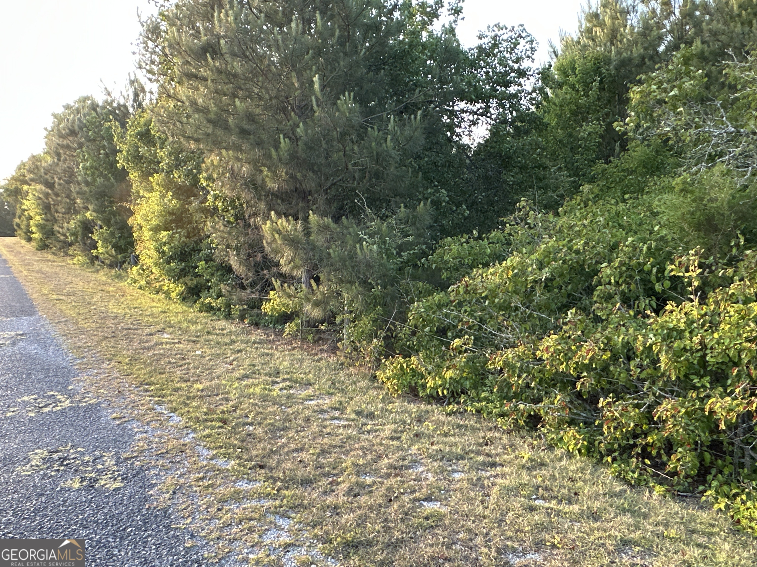 LOT 8 County Road 520 Property Photo 1