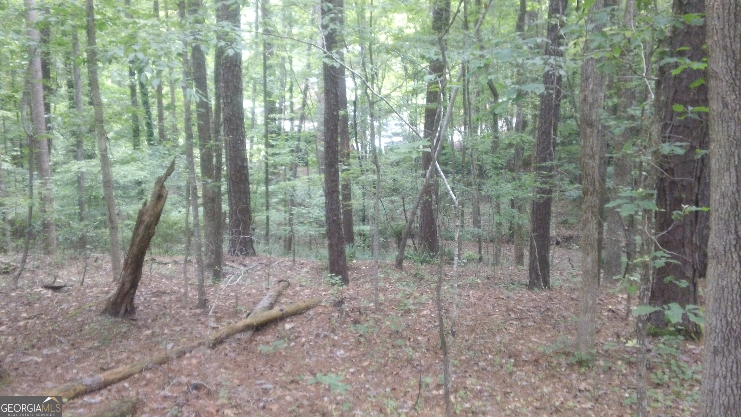 0 Woodduck Court Property Photo 3