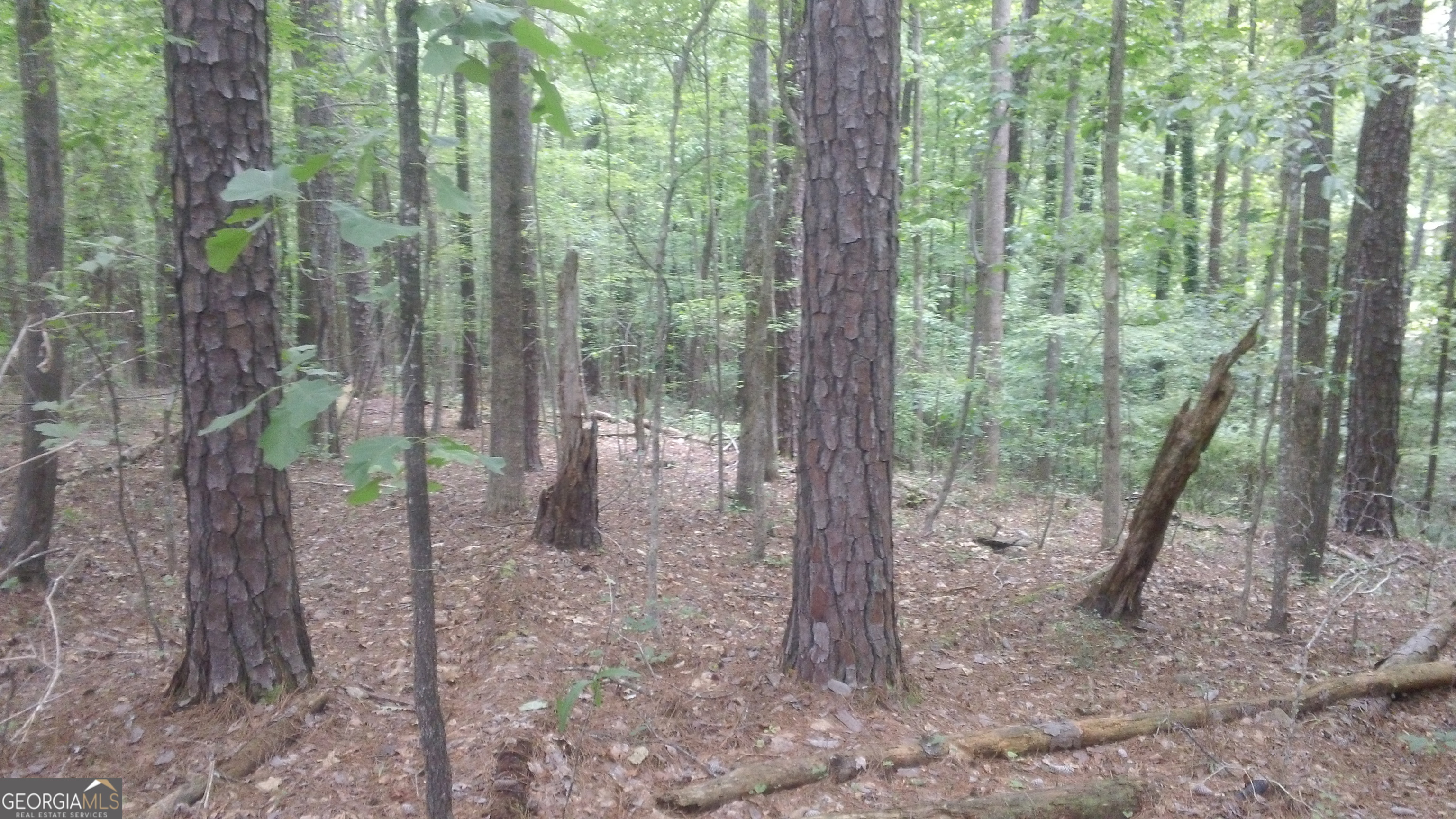 0 Woodduck Court Property Photo 4
